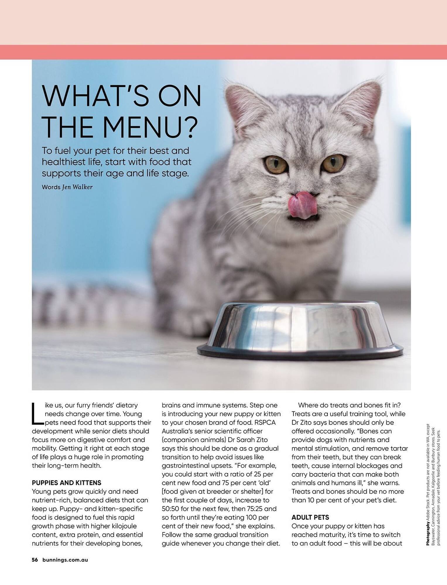 Bunnings catalogue (2026-04-01 - 2026-04-30) | 56