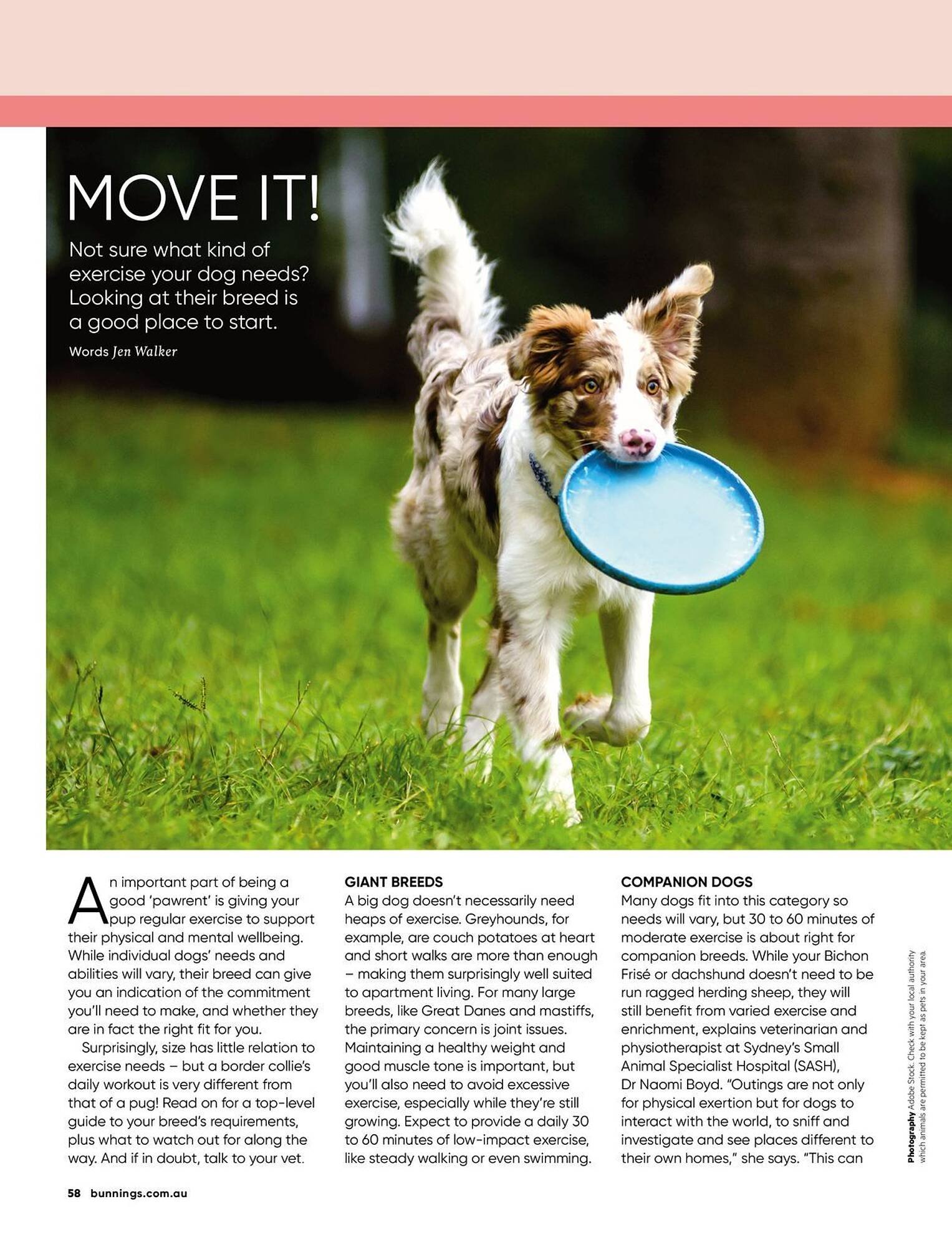 Bunnings catalogue (2026-04-01 - 2026-04-30) | 58