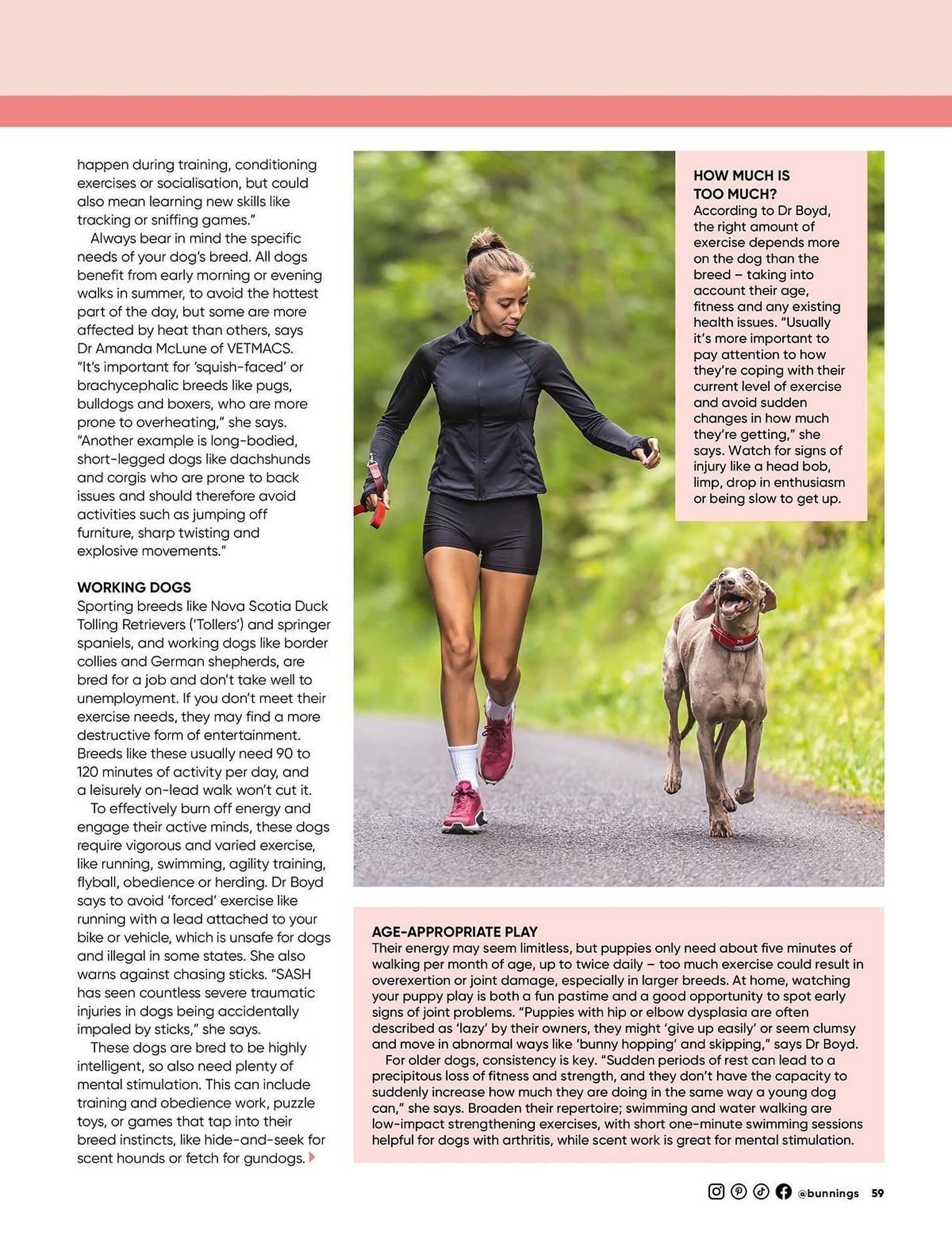 Bunnings catalogue (2026-04-01 - 2026-04-30) | 59