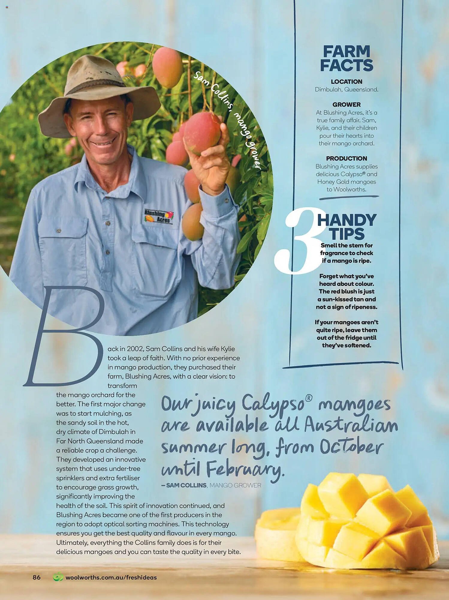 Woolworths catalogue (2025-10-31 - 2025-11-30) | 86