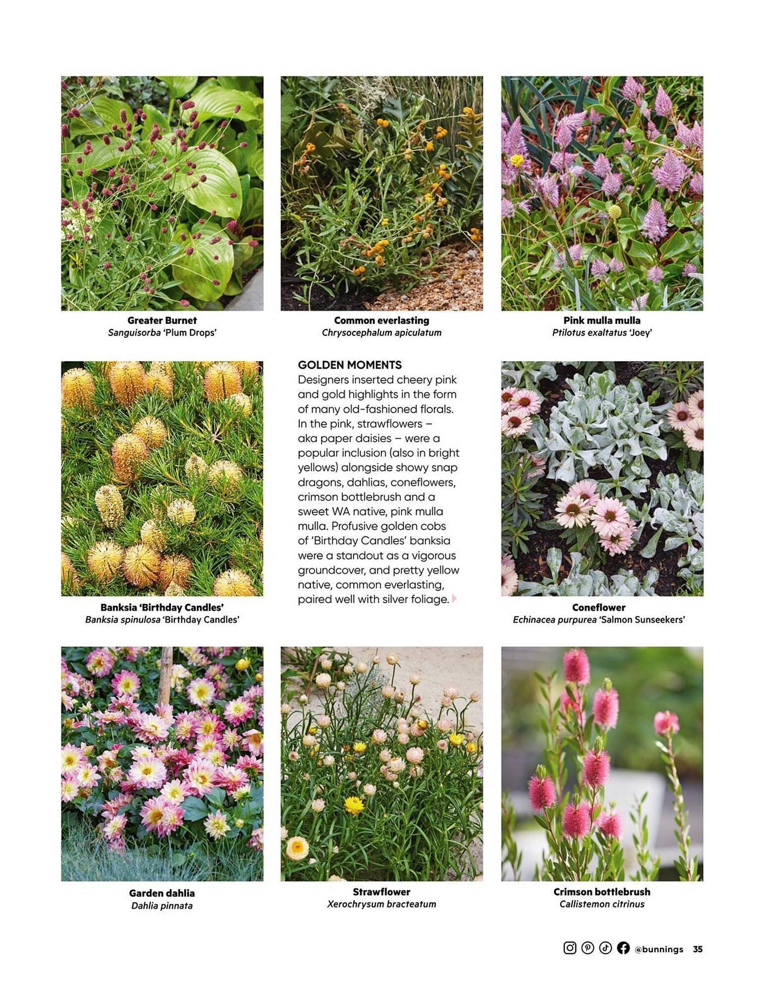 Bunnings catalogue (2025-08-01 - 2025-08-31)