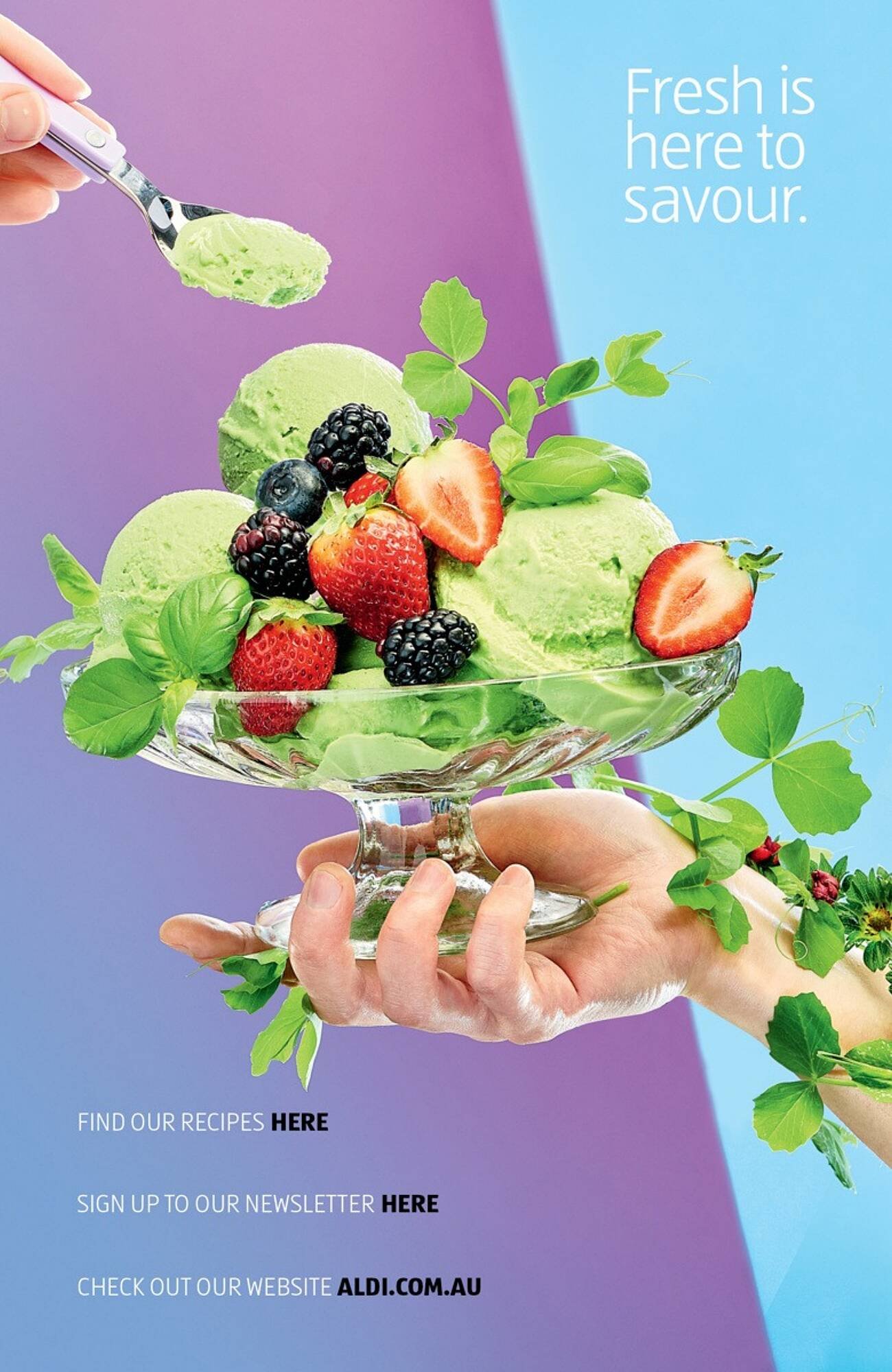 ALDI catalogue (2025-09-17 - 2025-12-25) | 14