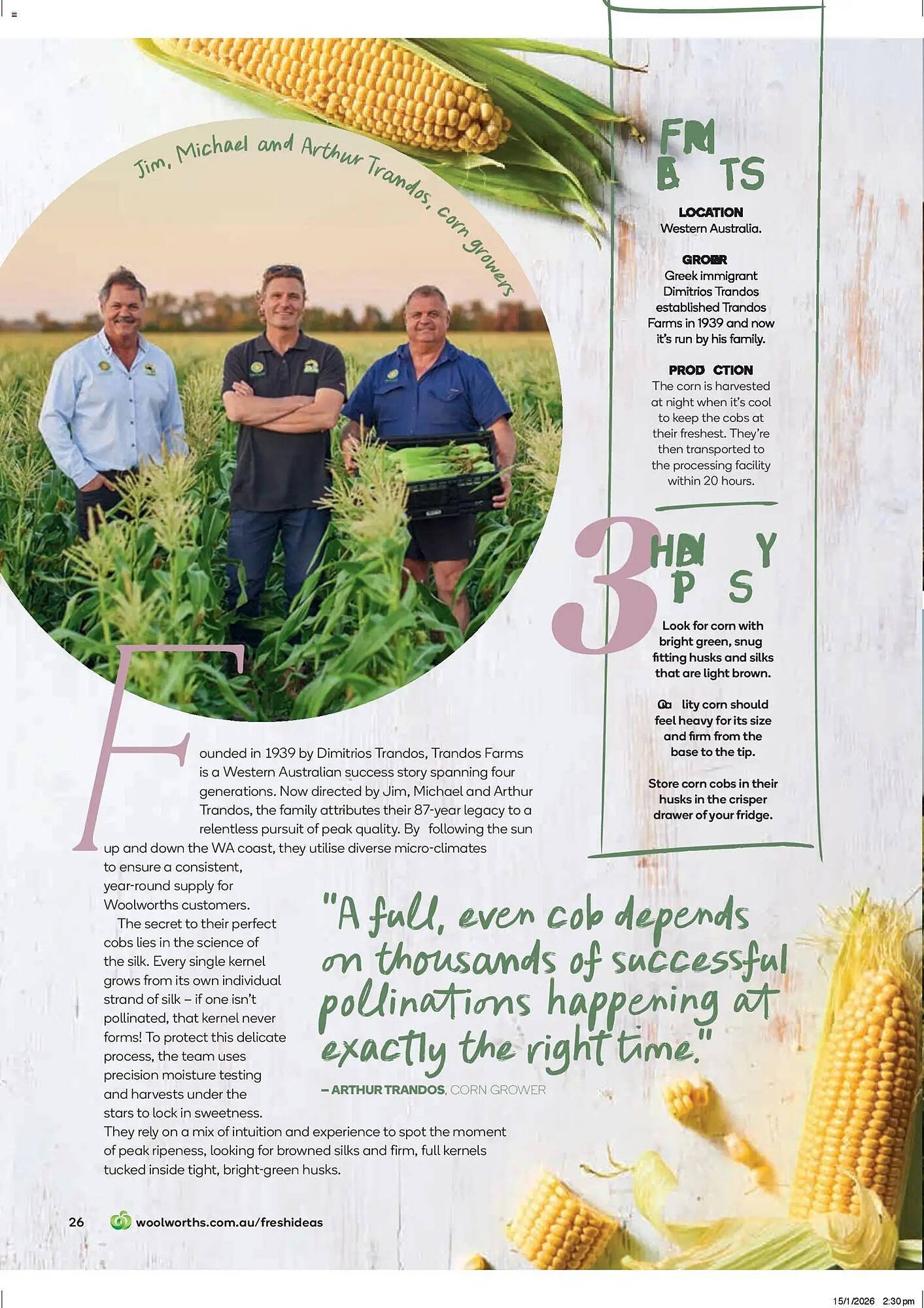 Woolworths catalogue (2026-02-19 - 2026-03-31) | 26