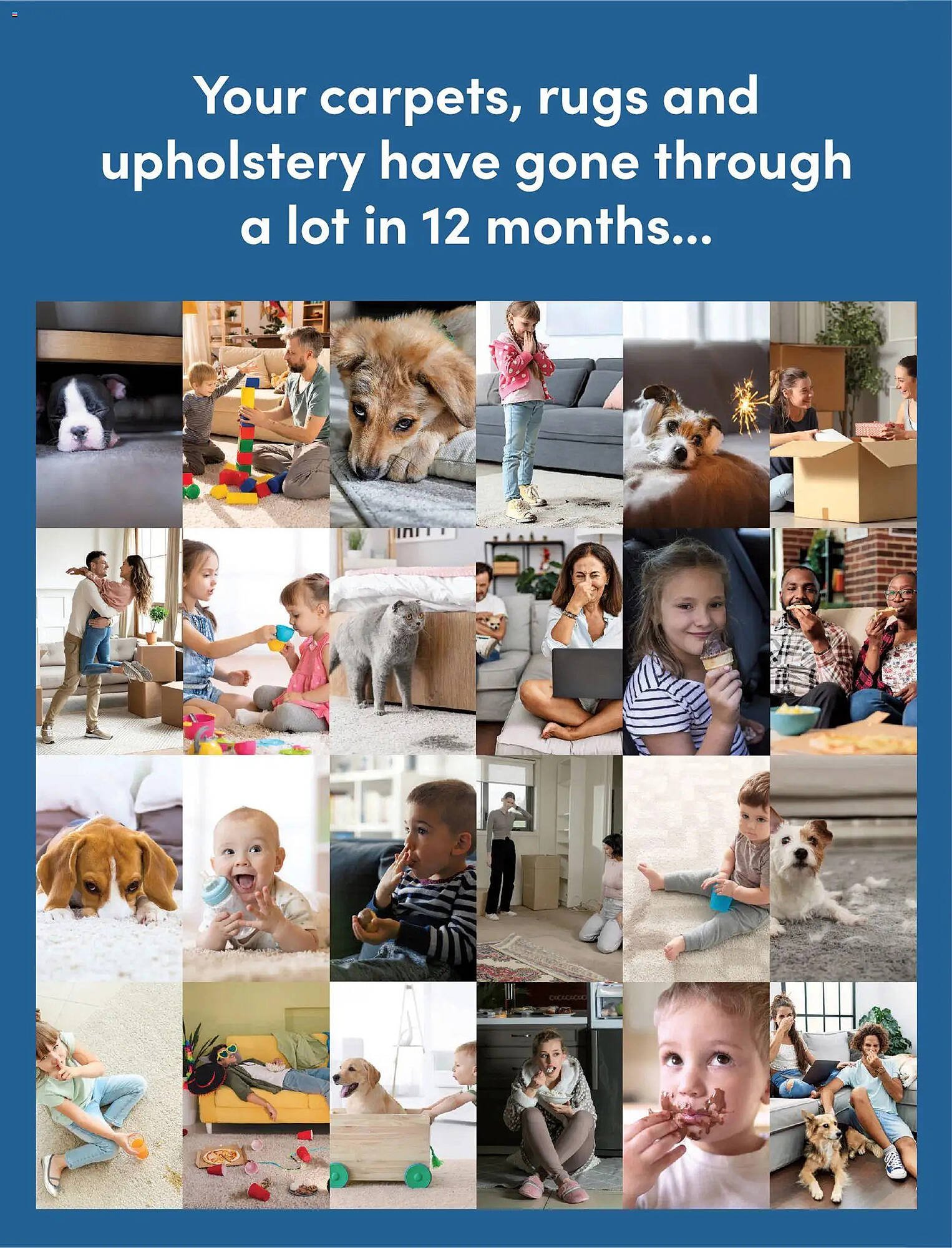 Bunnings catalogue (2026-01-31 - 2026-02-28) | 2