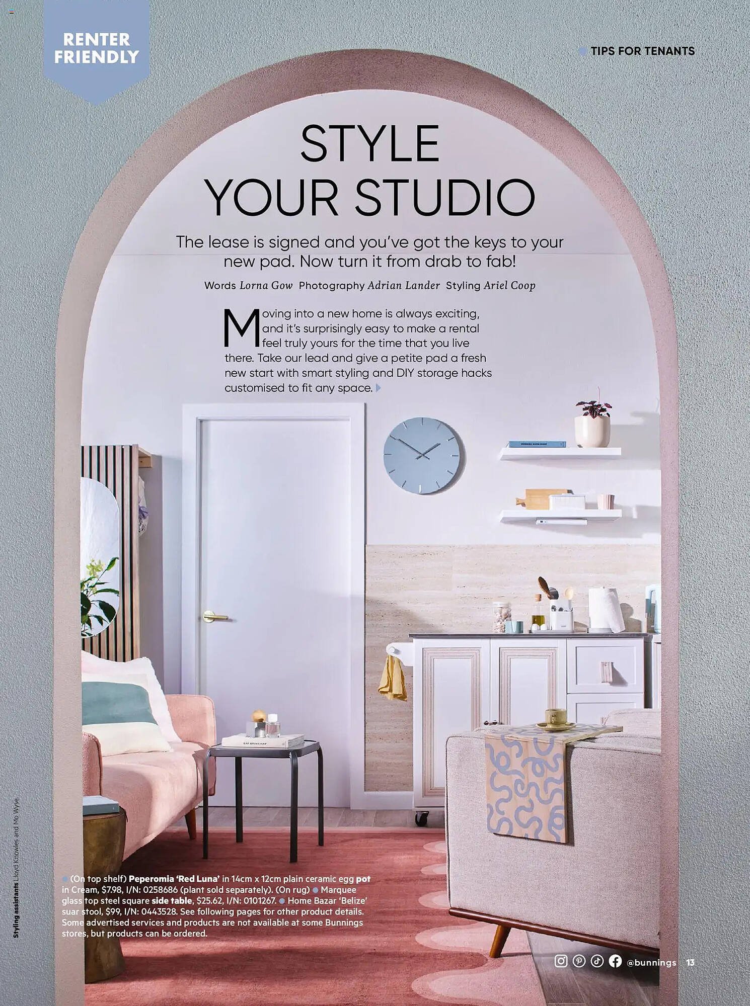 Bunnings catalogue (2026-01-31 - 2026-02-28) | 13