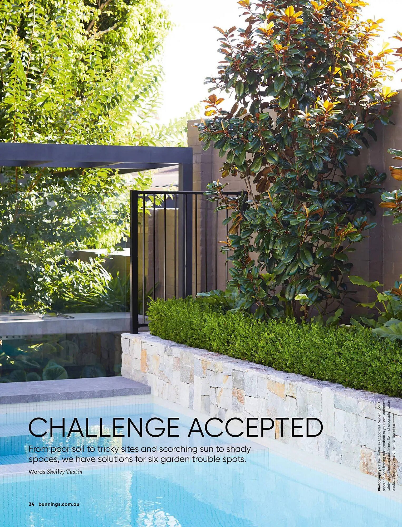 Bunnings catalogue (2026-01-31 - 2026-02-28) | 24