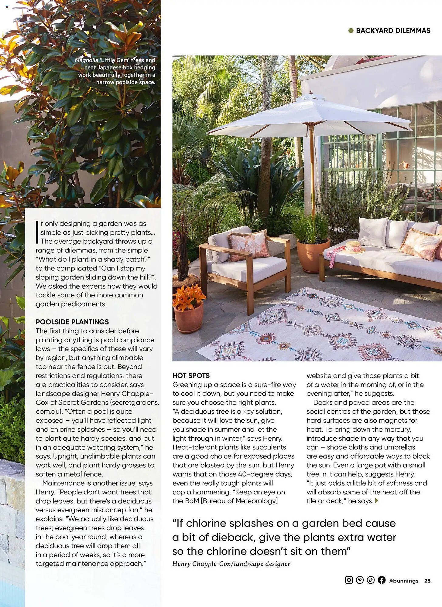 Bunnings catalogue (2026-01-31 - 2026-02-28) | 25