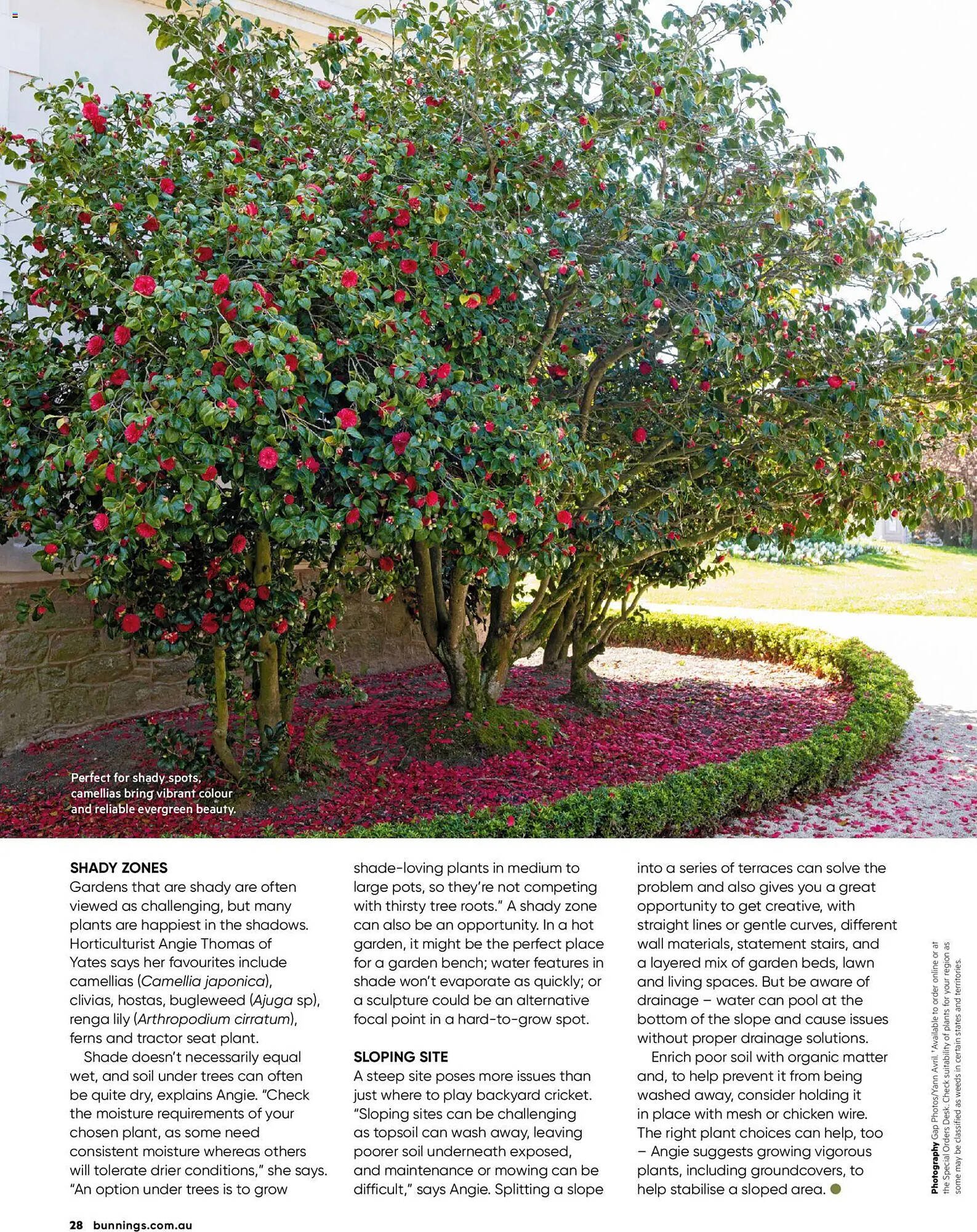 Bunnings catalogue (2026-01-31 - 2026-02-28) | 28