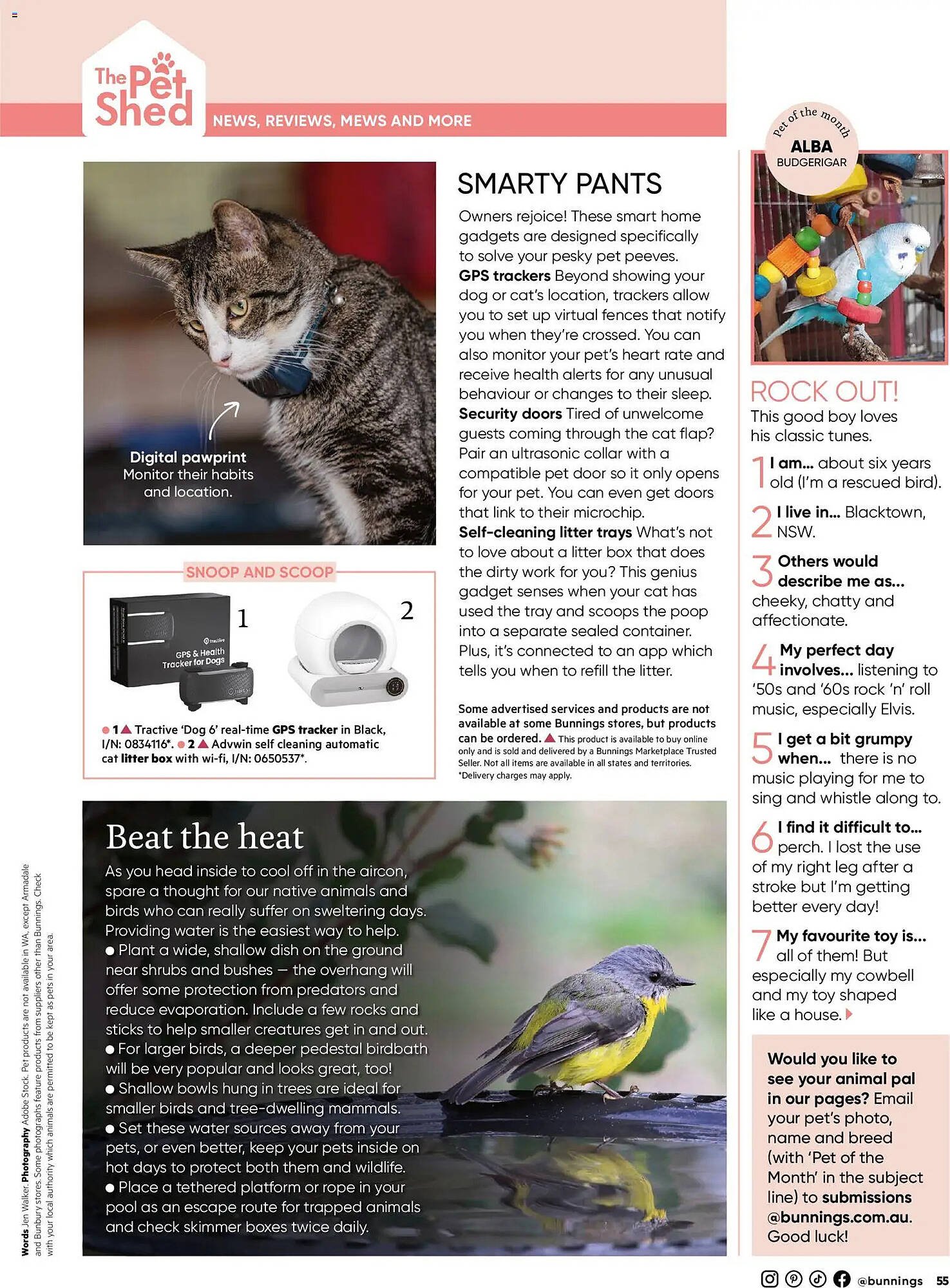 Bunnings catalogue (2026-01-31 - 2026-02-28) | 55