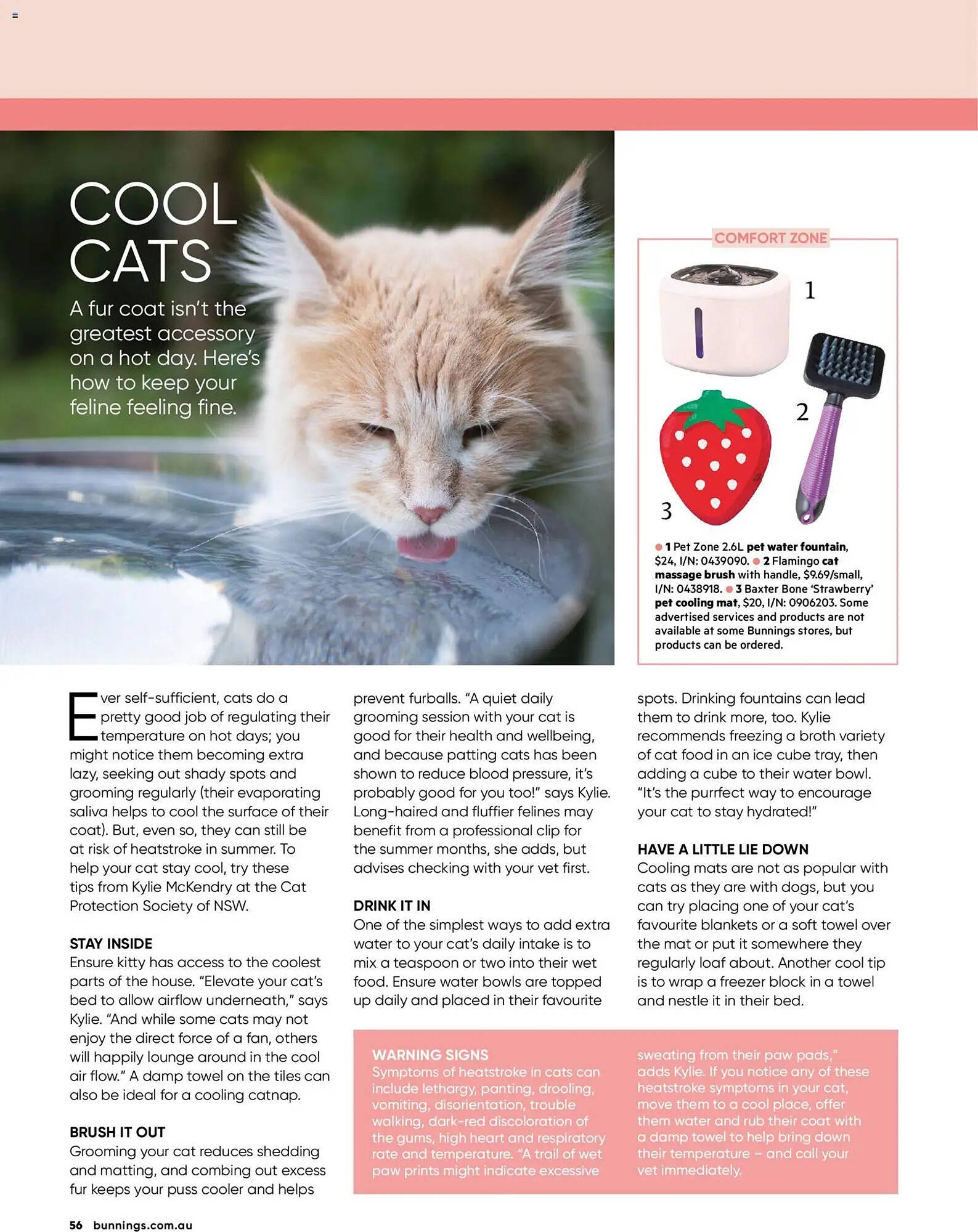 Bunnings catalogue (2026-01-31 - 2026-02-28) | 56