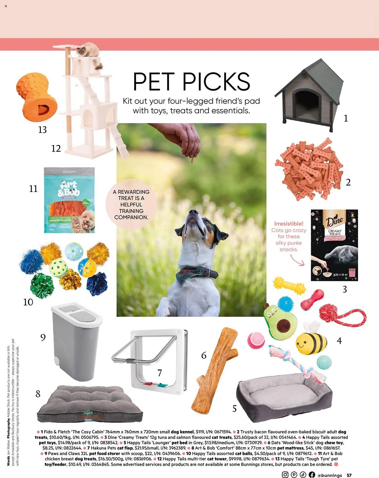 Bunnings catalogue (2026-01-31 - 2026-02-28) | 57