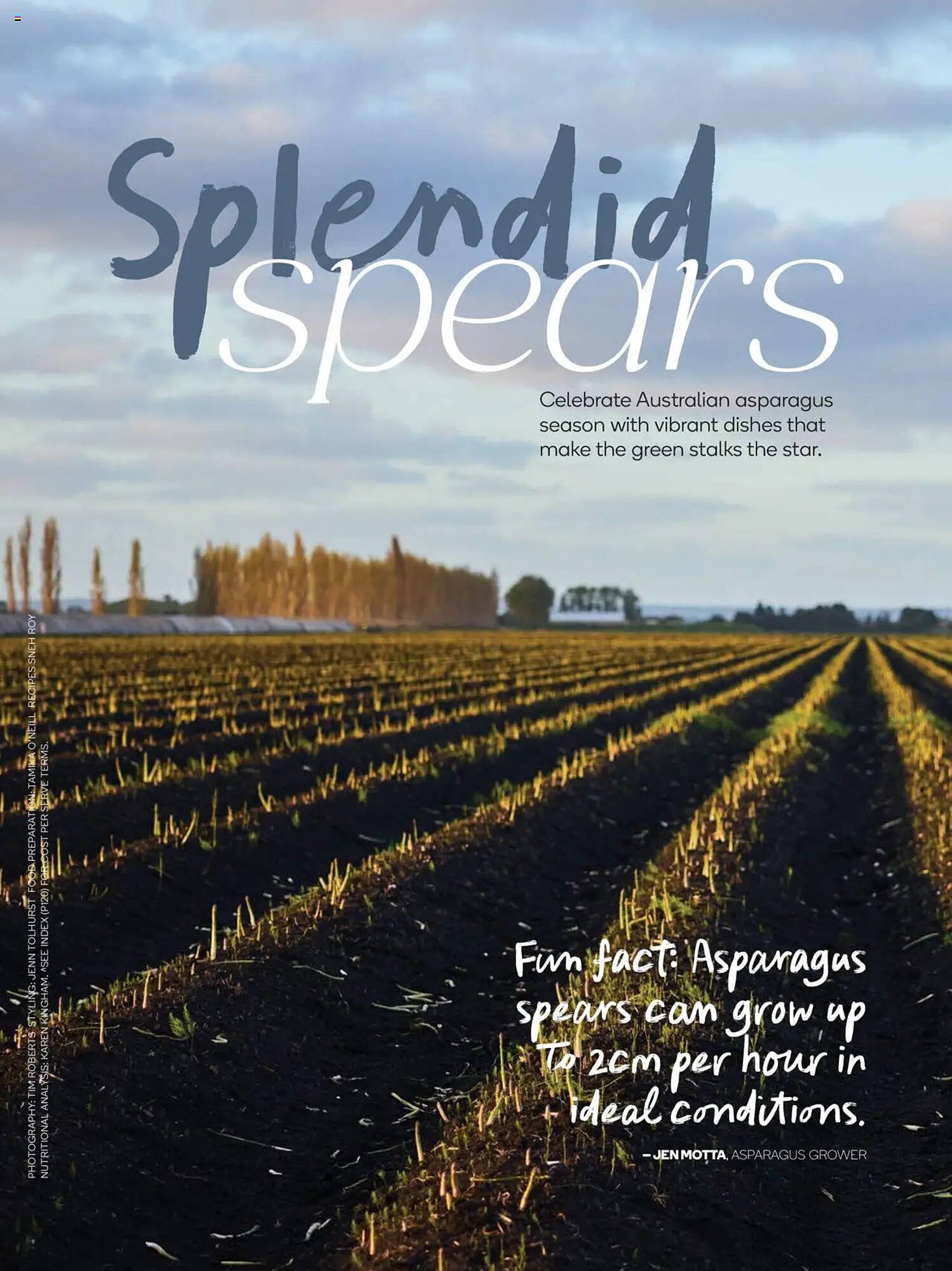 Woolworths catalogue (2025-09-30 - 2025-10-31) | 79