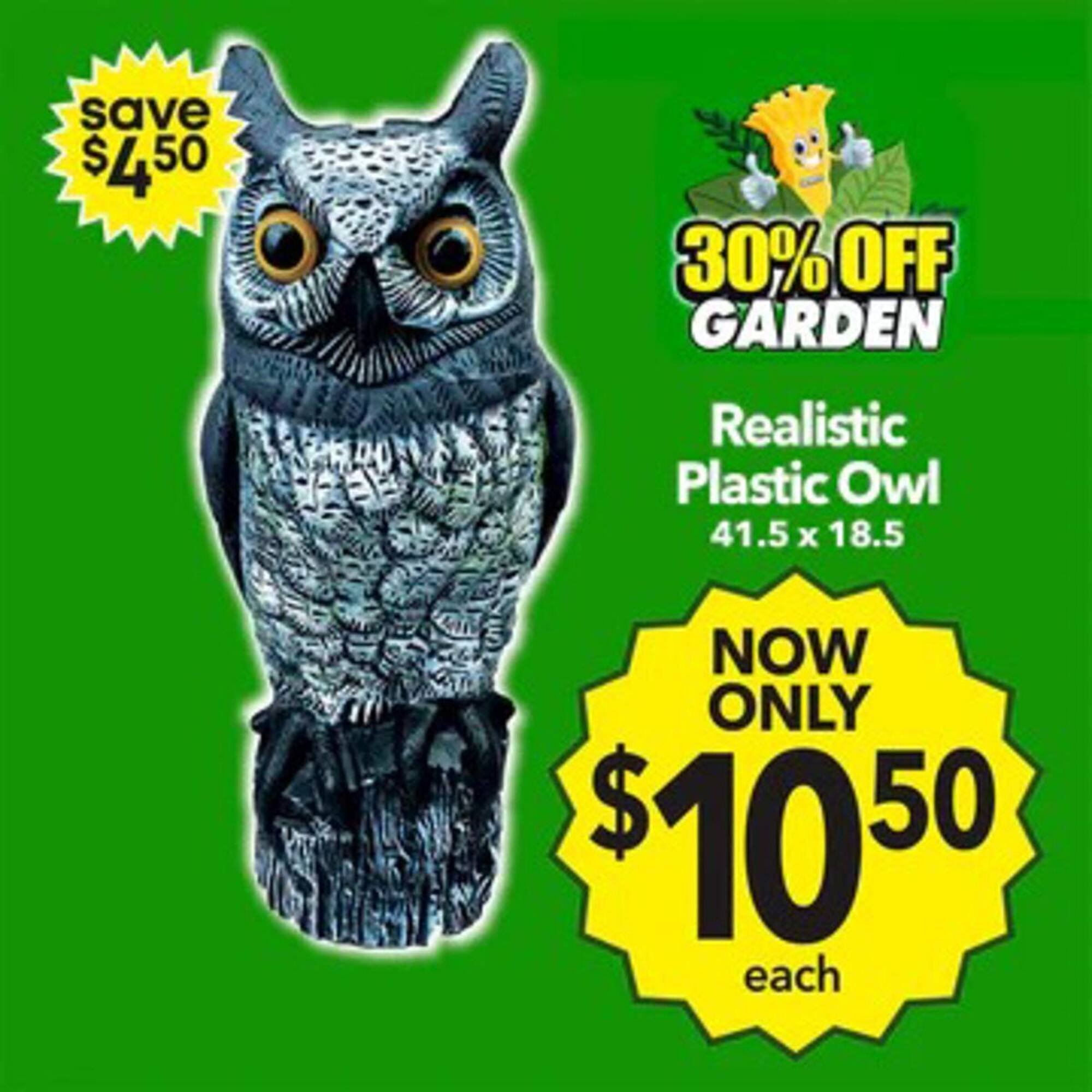 Cheap as Chips catalogue (2026-01-27 - 2026-02-03) | 15