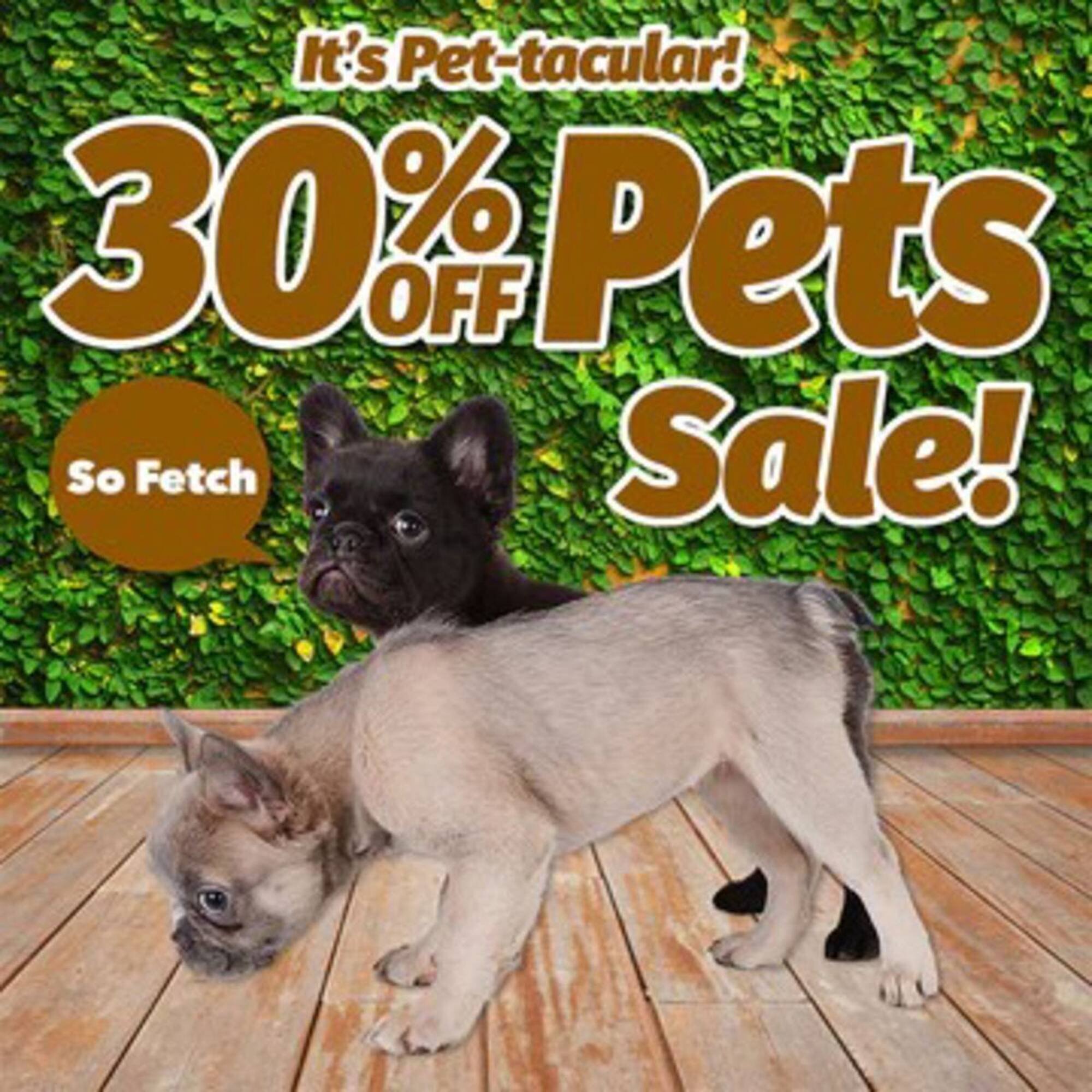 Cheap as Chips catalogue (2026-01-27 - 2026-02-03) | 17