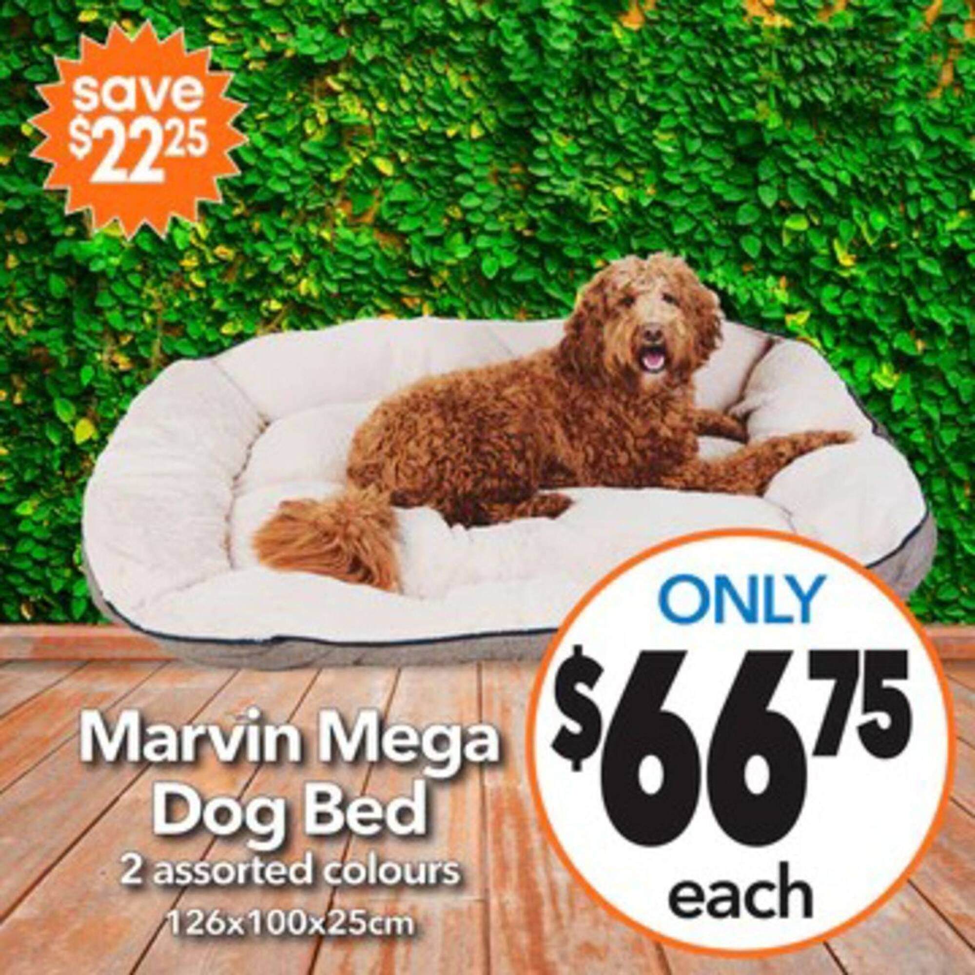 Cheap as Chips catalogue (2026-01-27 - 2026-02-03) | 20