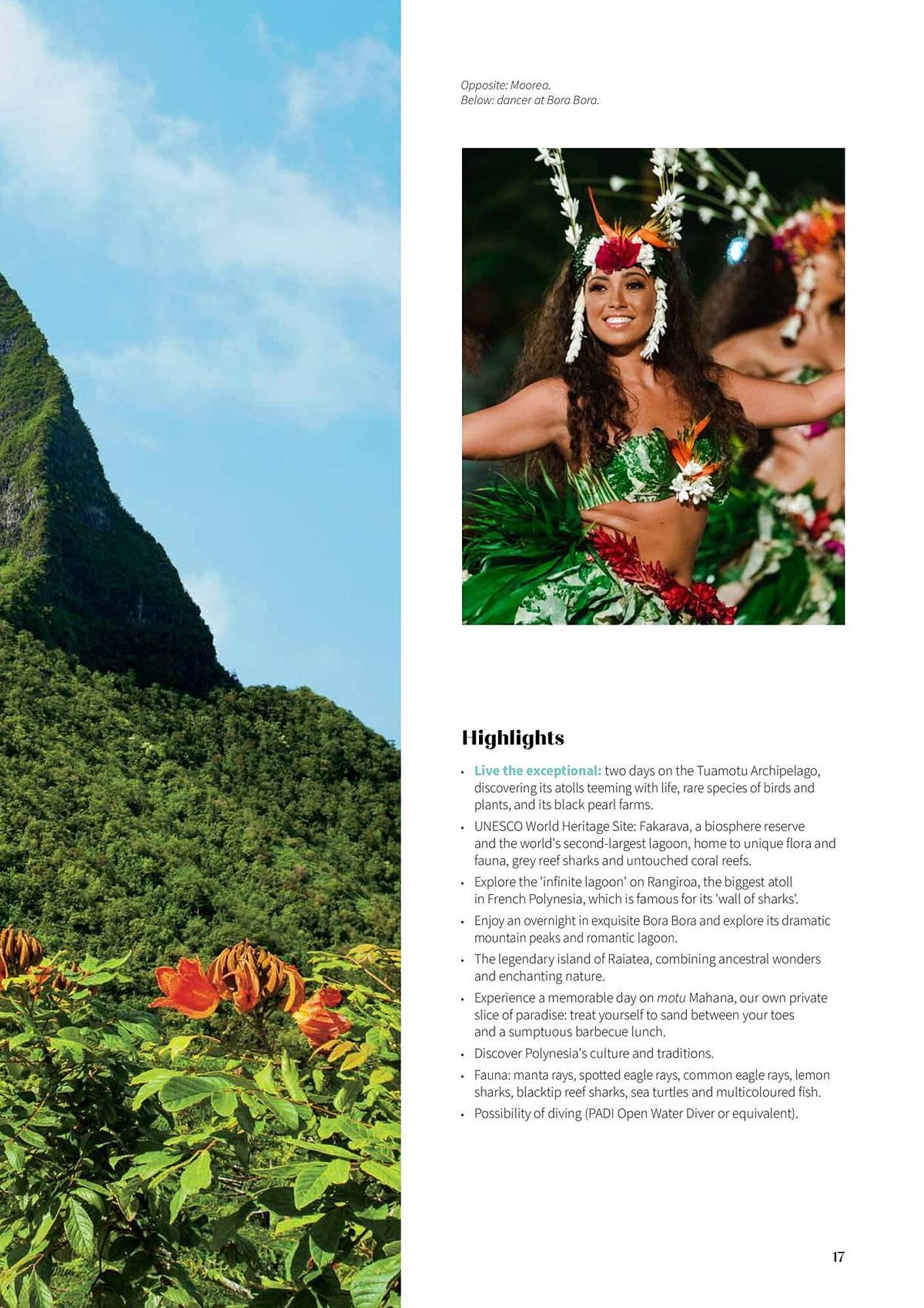 Flight Centre brochure (2025-10-22 - 2025-11-05) | 17