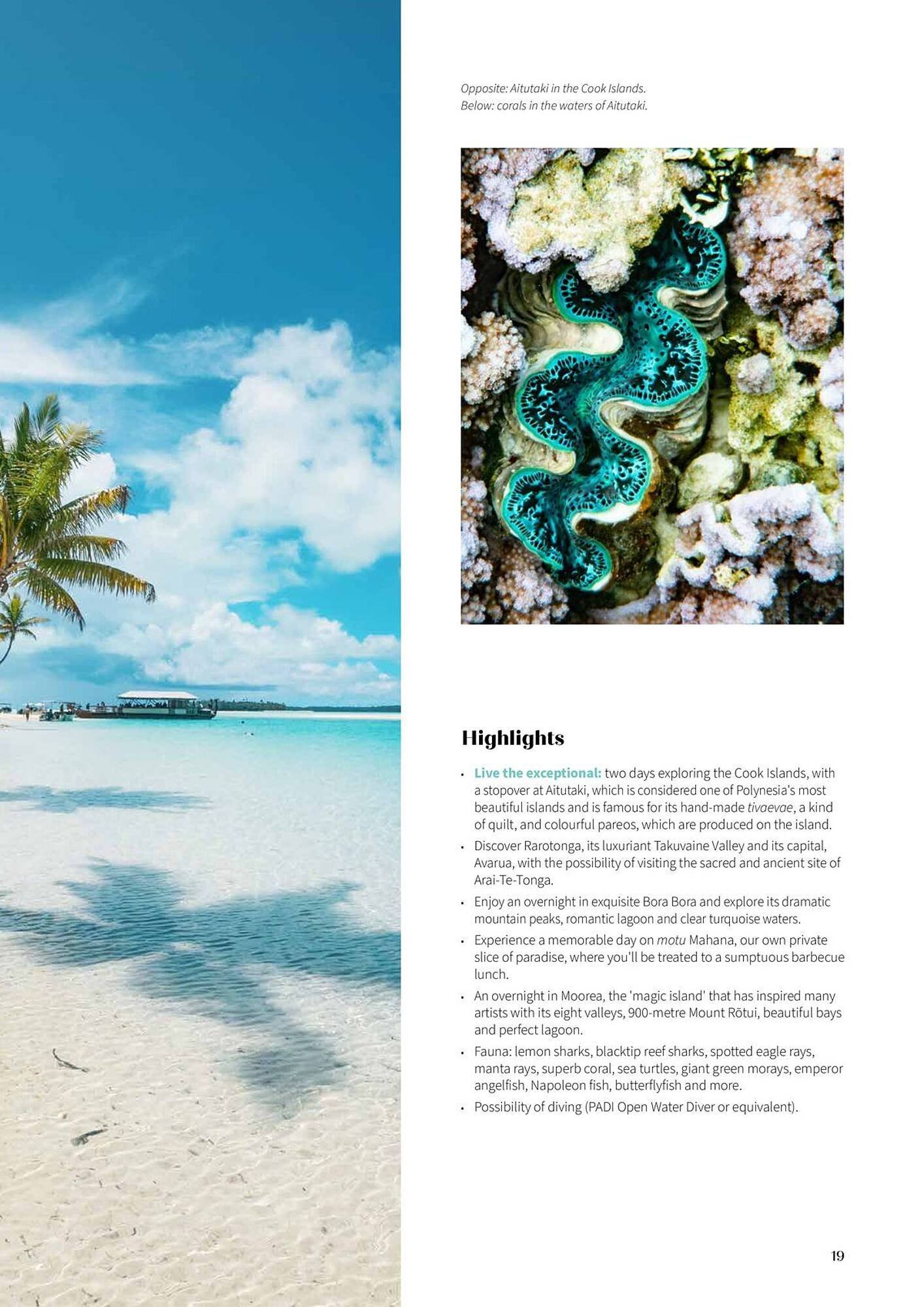 Flight Centre brochure (2025-10-22 - 2025-11-05) | 19