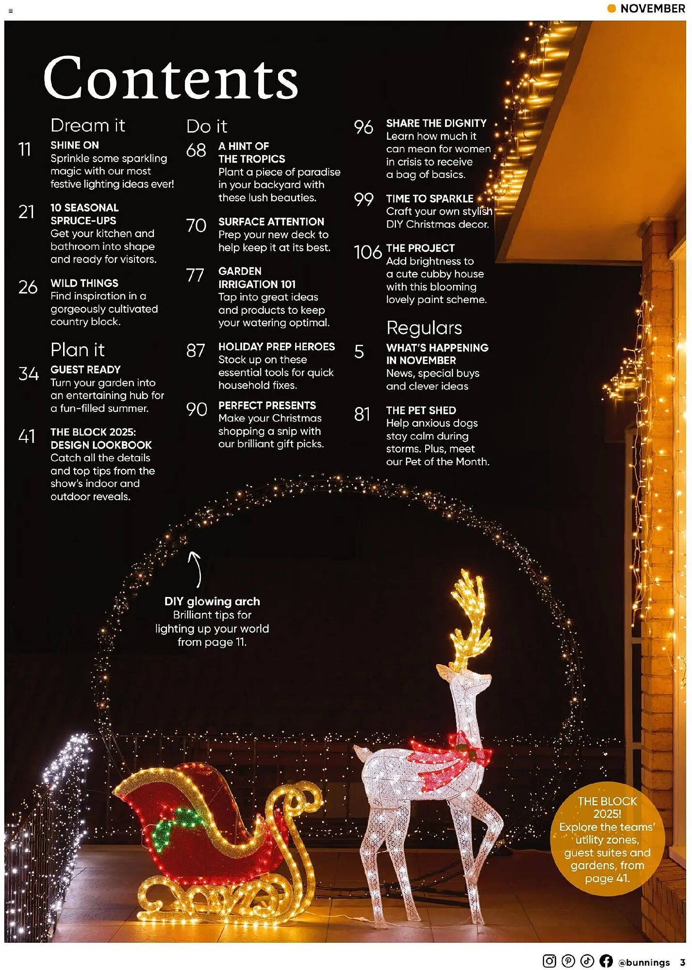 Bunnings catalogue (2025-10-31 - 2025-11-30) | 3