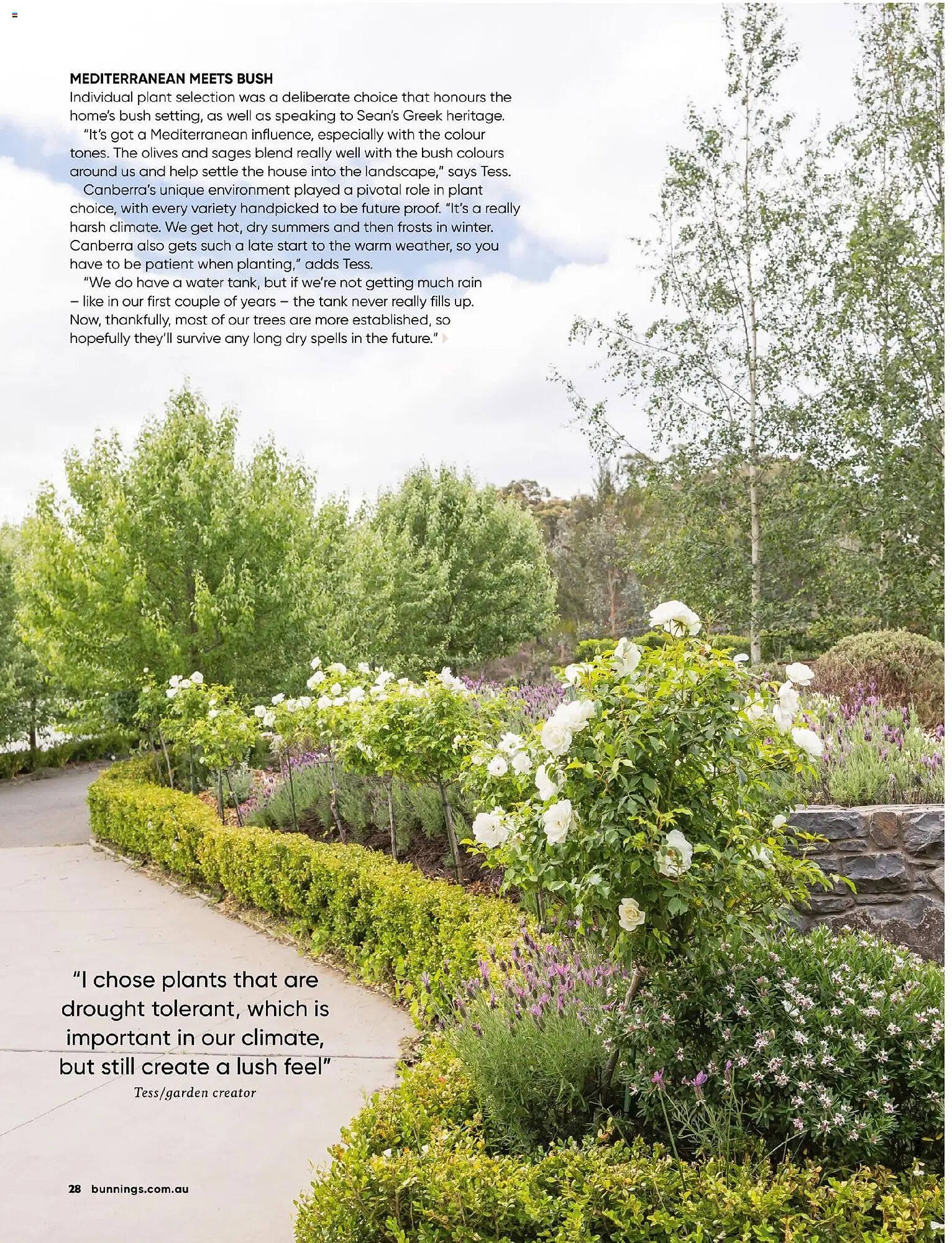 Bunnings catalogue (2025-10-31 - 2025-11-30) | 28