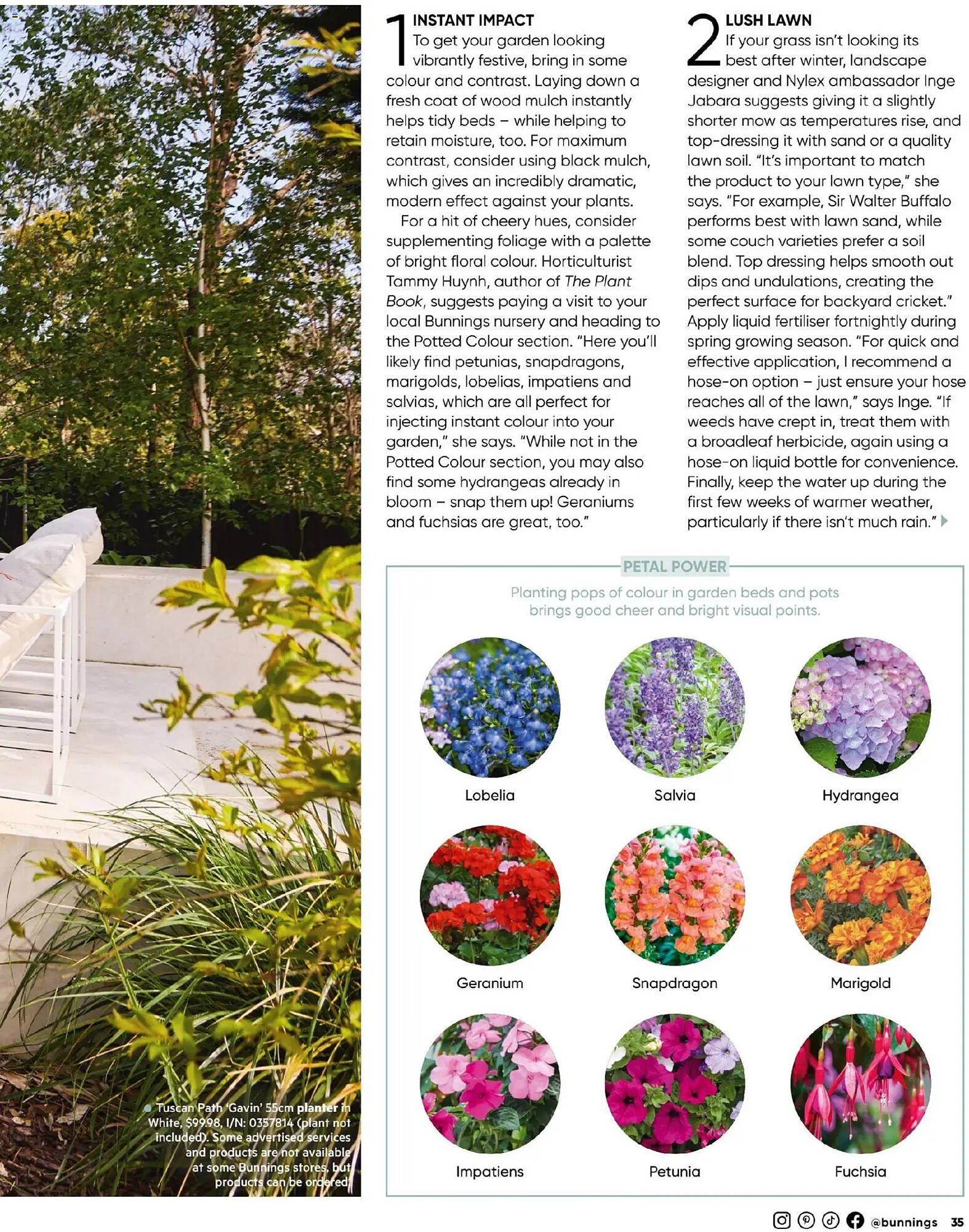 Bunnings catalogue (2025-10-31 - 2025-11-30) | 35
