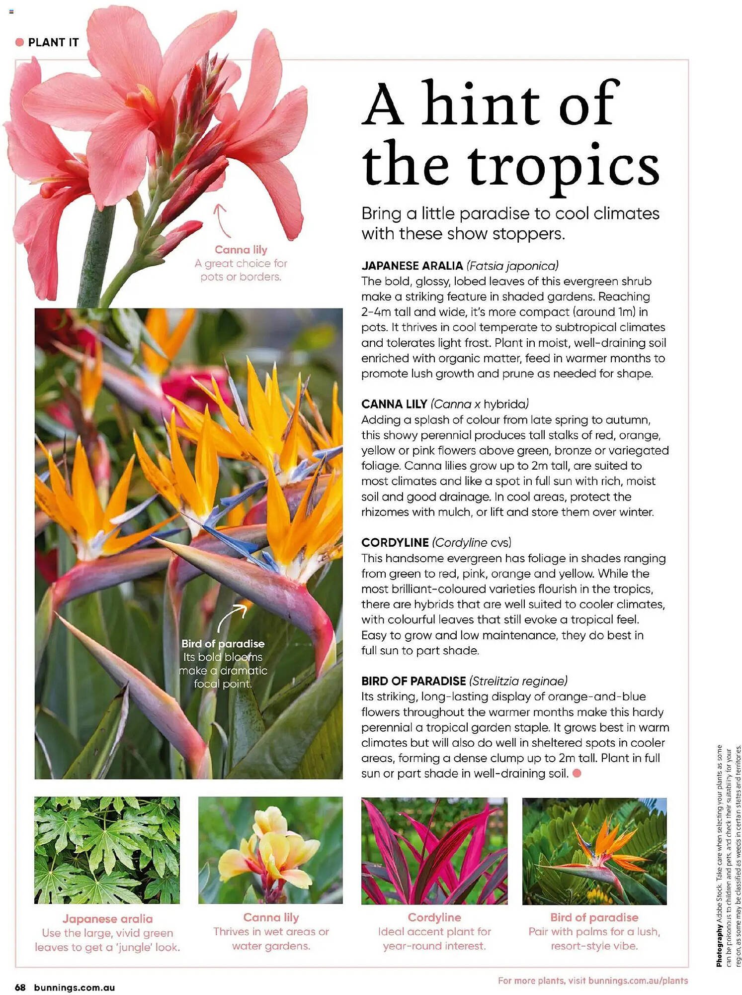 Bunnings catalogue (2025-10-31 - 2025-11-30) | 68