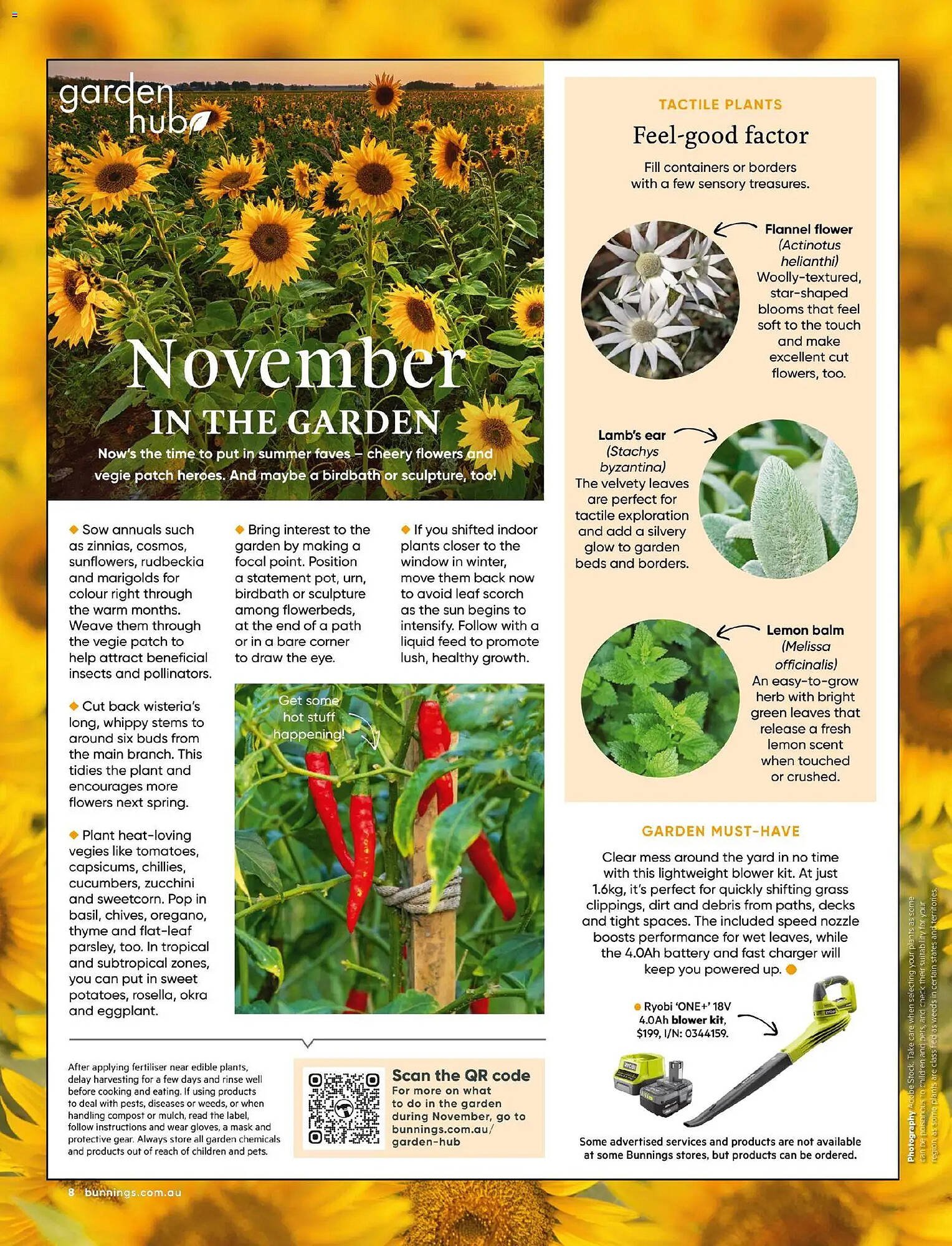 Bunnings catalogue (2025-10-31 - 2025-11-30) | 8