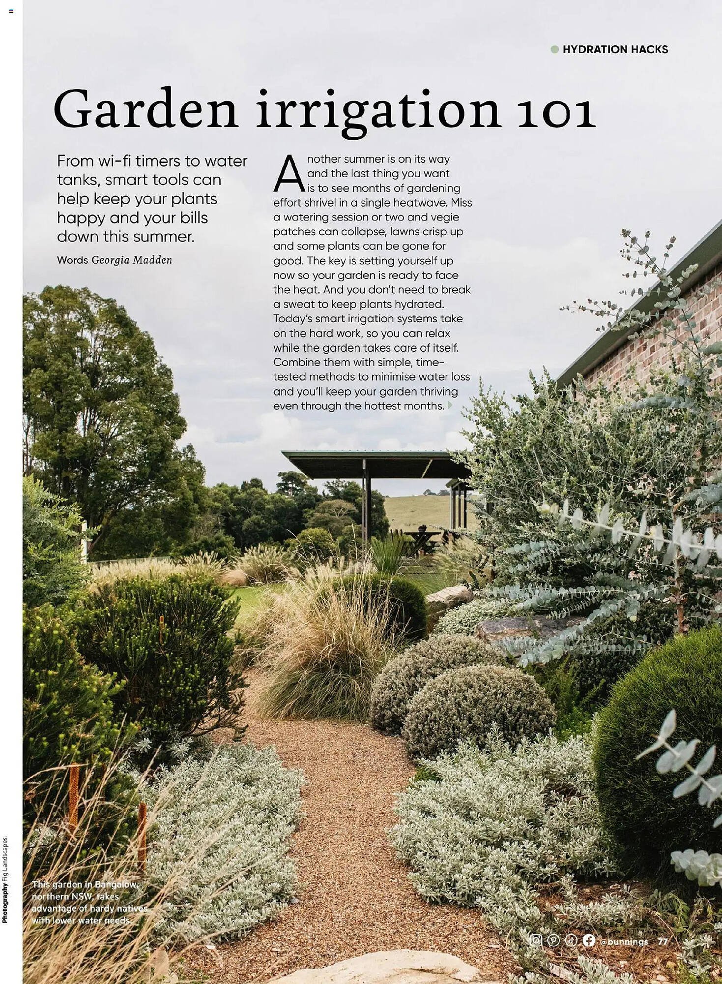 Bunnings catalogue (2025-10-31 - 2025-11-30) | 77