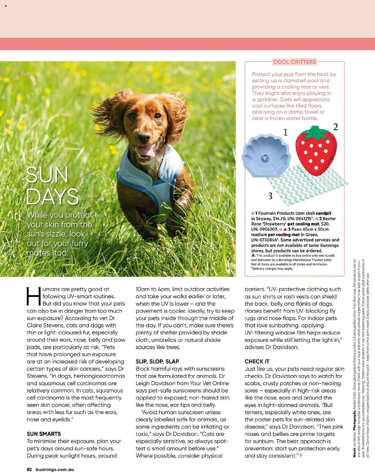 Bunnings catalogue (2025-10-31 - 2025-11-30) | 82