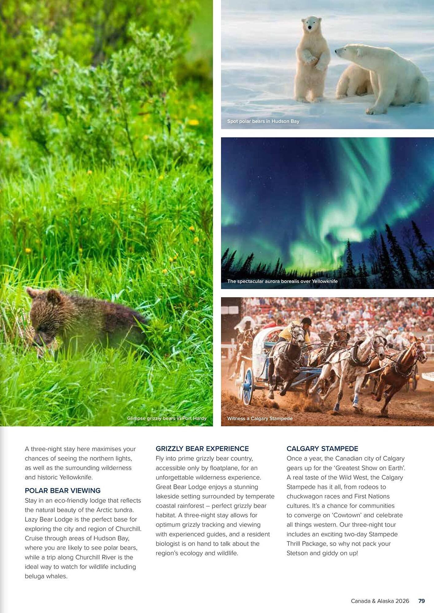 Flight Centre brochure (2025-09-10 - 2026-12-31)