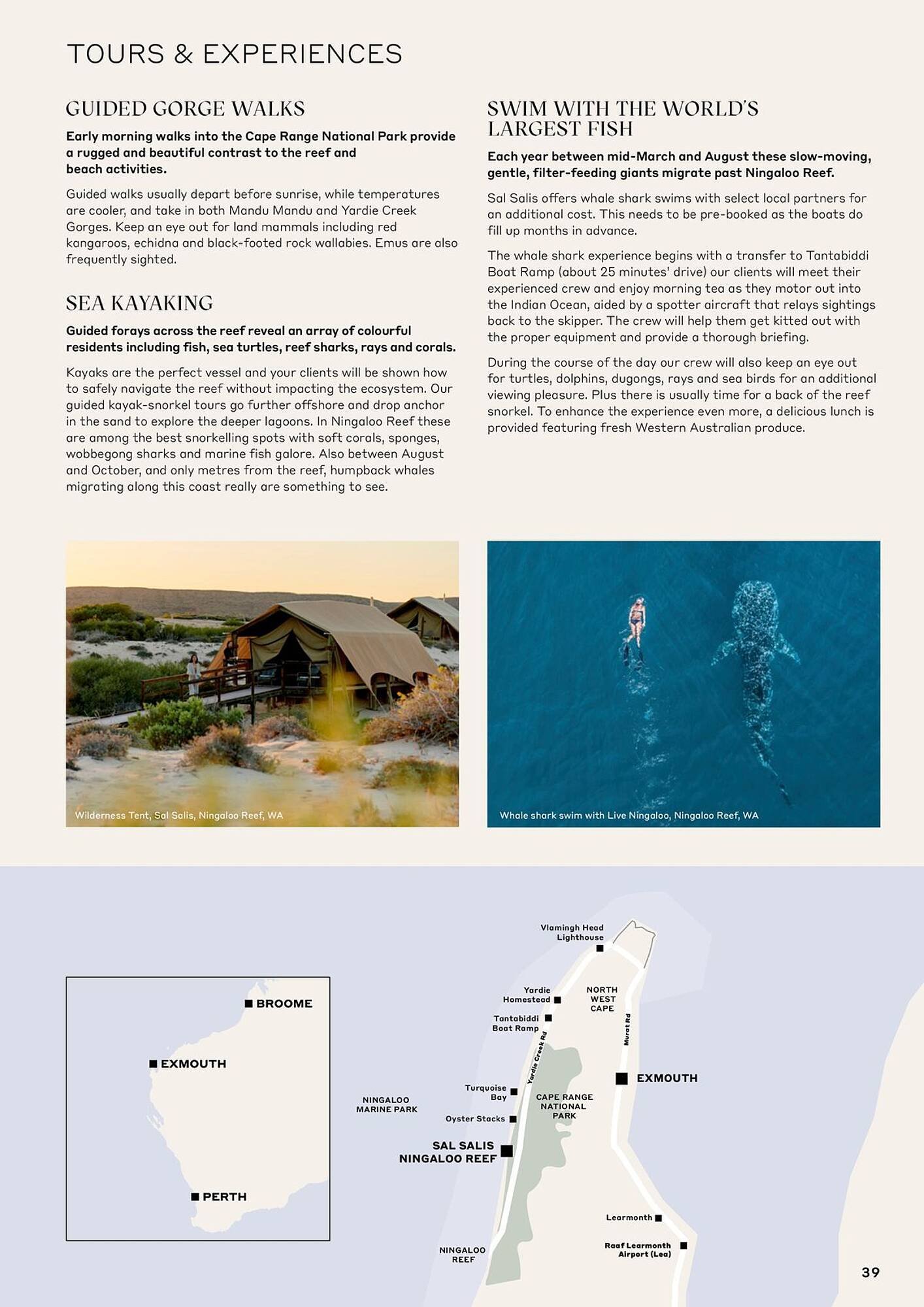 Flight Centre brochure (2025-10-28 - 2026-12-31) | 41