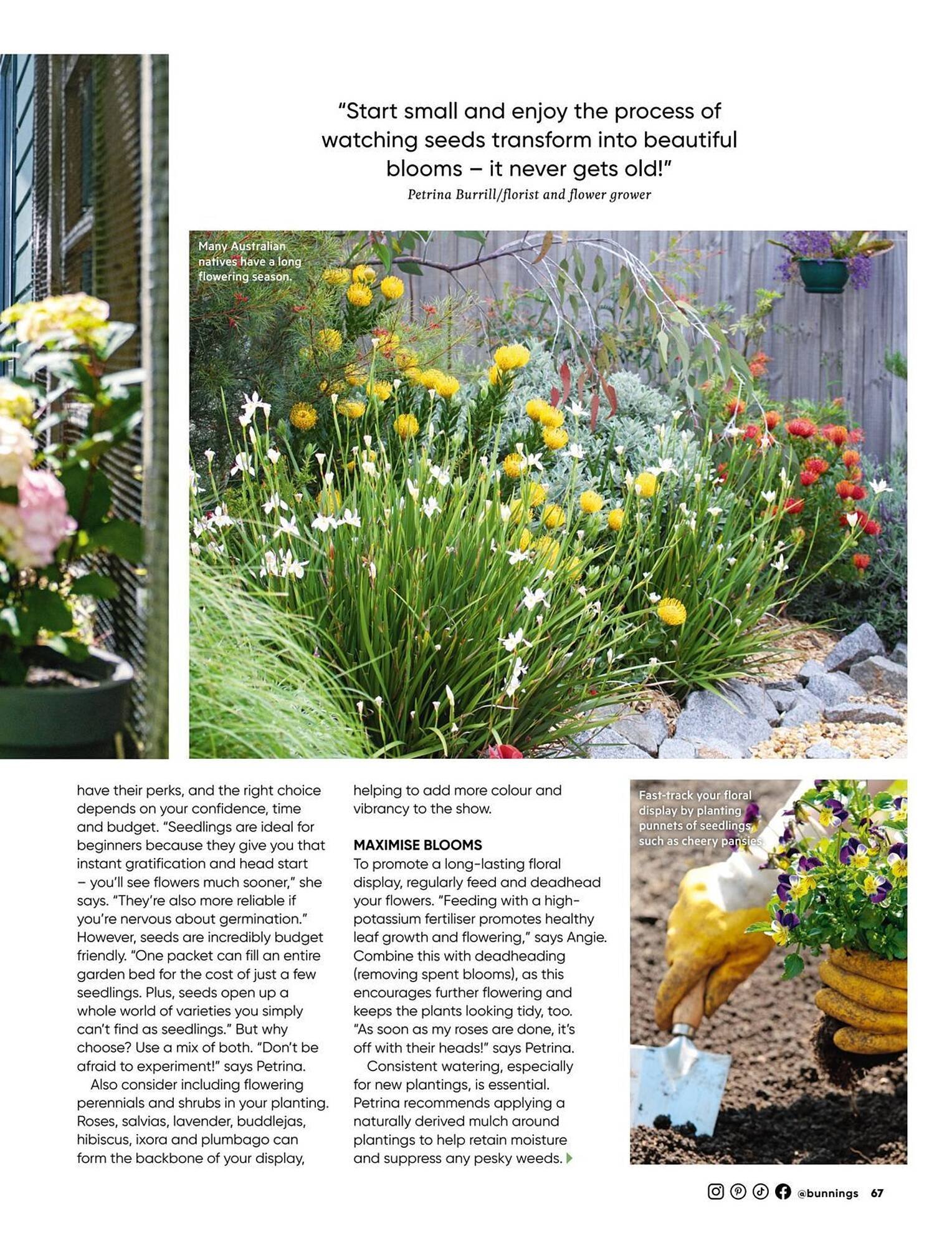 Bunnings catalogue (2025-09-01 - 2025-09-30)