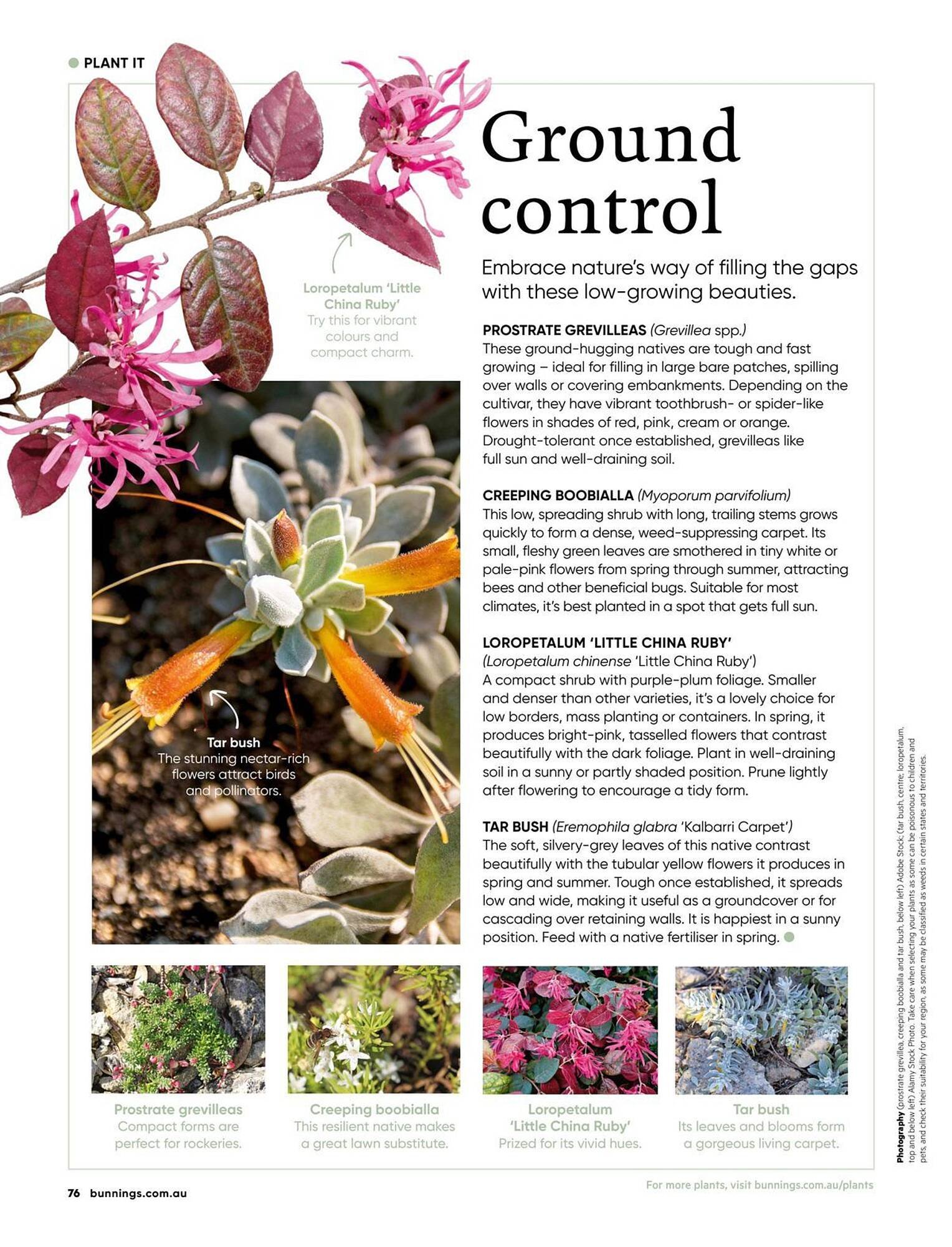 Bunnings catalogue (2025-09-01 - 2025-09-30)