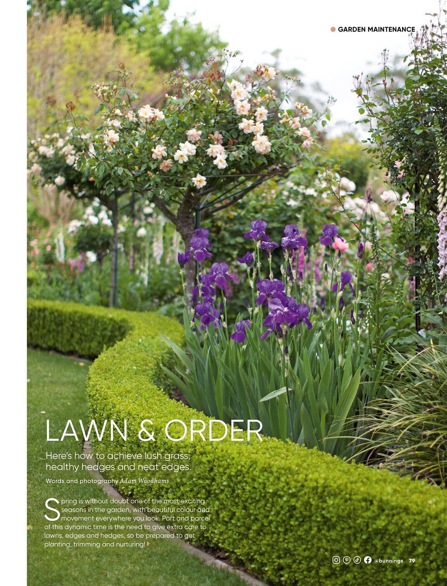 Bunnings catalogue (2025-09-01 - 2025-09-30)