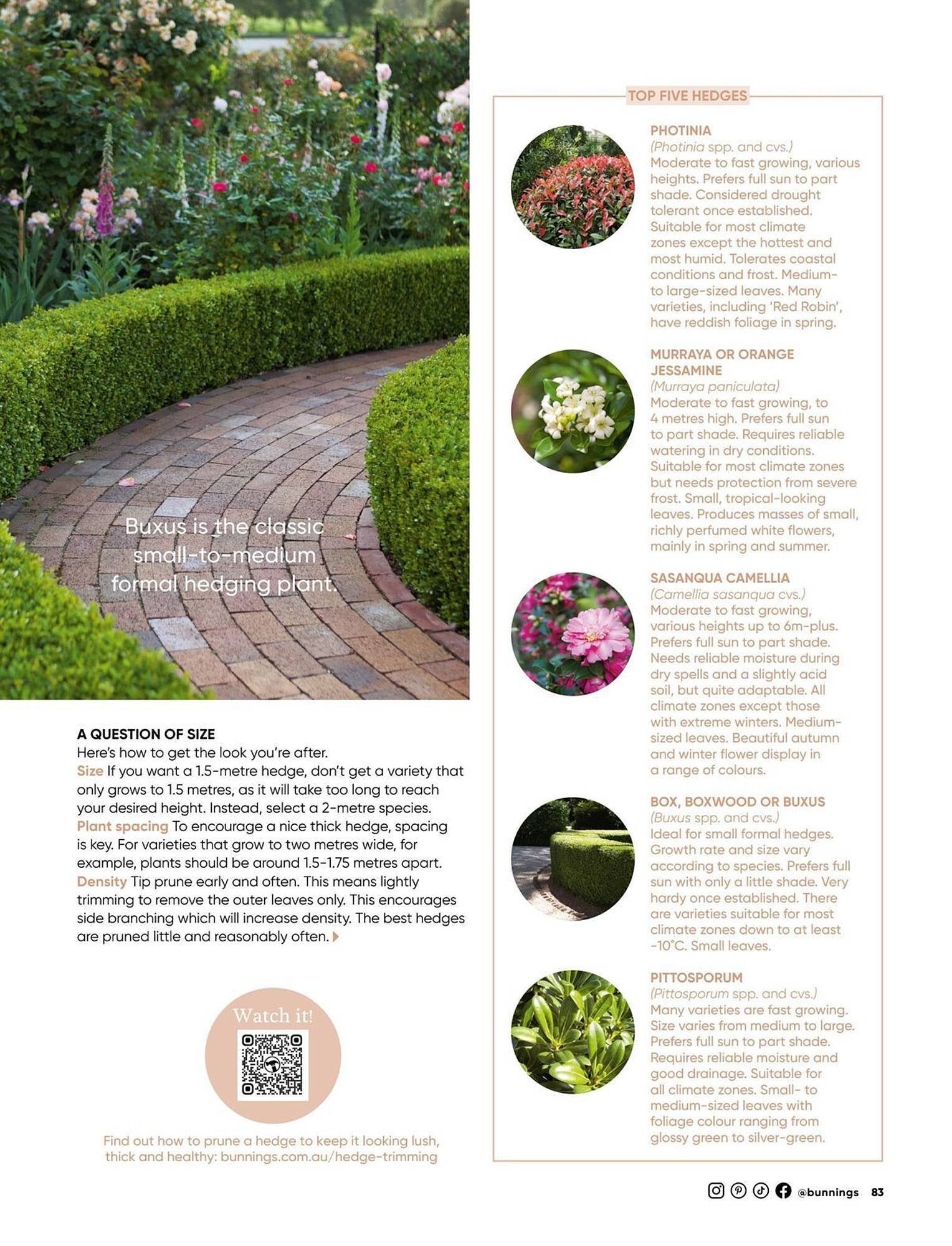 Bunnings catalogue (2025-09-01 - 2025-09-30)