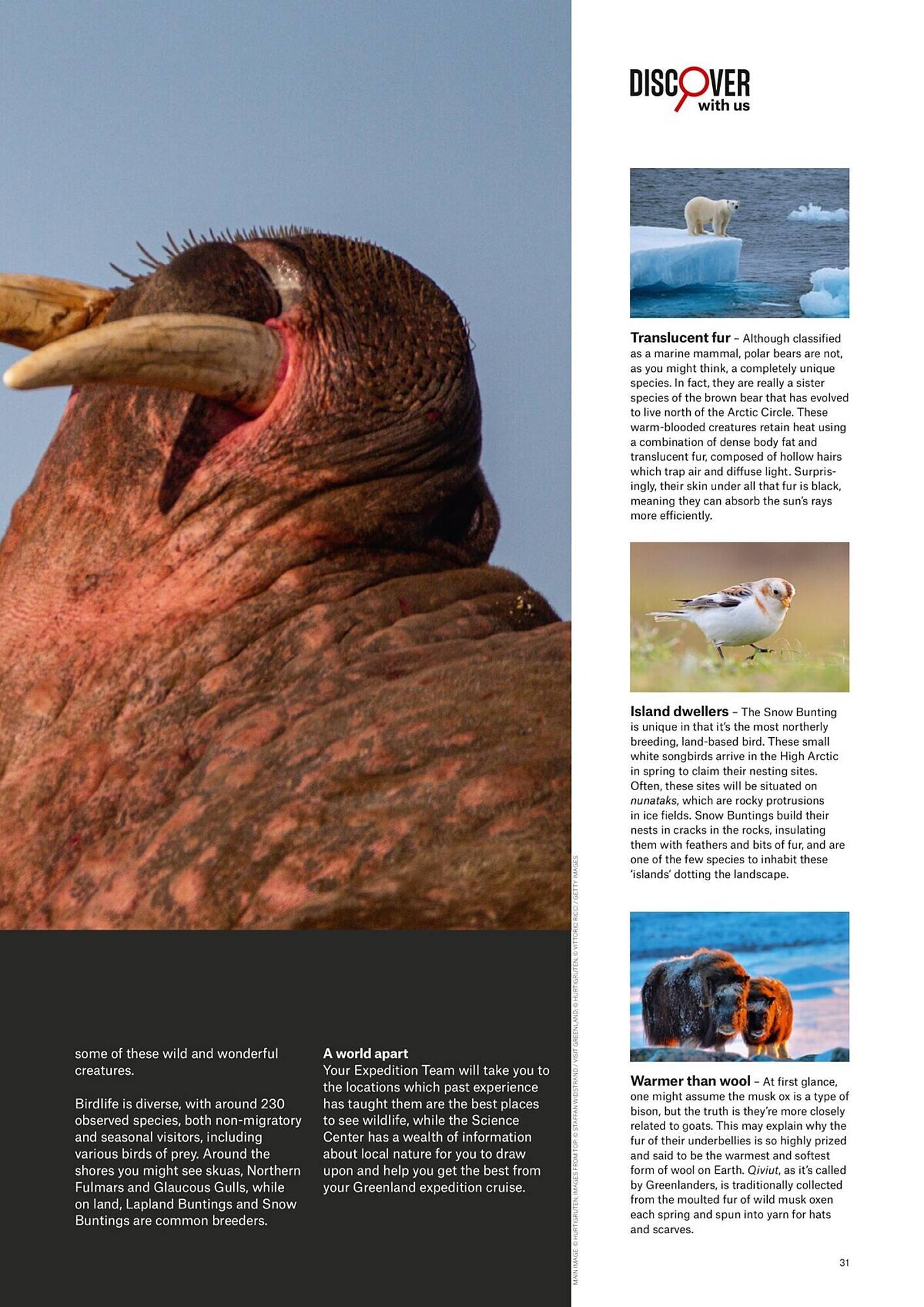 Flight Centre catalogue (2025-04-28 - 2025-12-31)