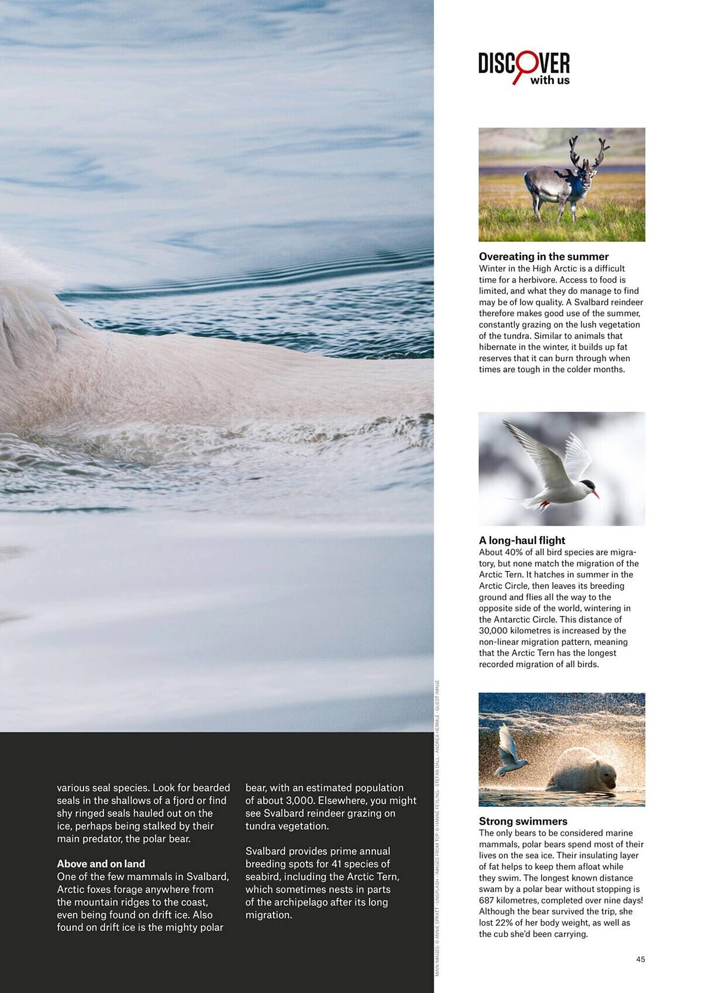 Flight Centre catalogue (2025-04-28 - 2025-12-31)