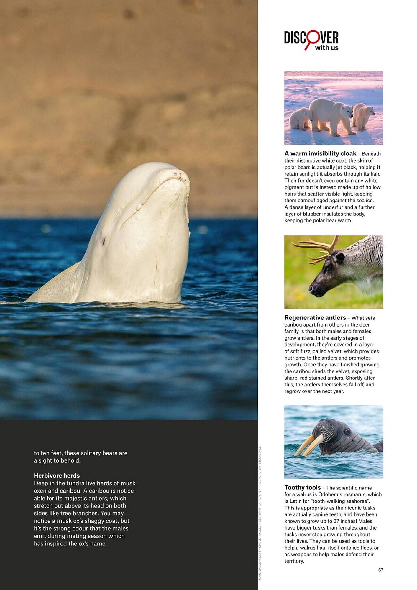 Flight Centre catalogue (2025-04-28 - 2025-12-31)