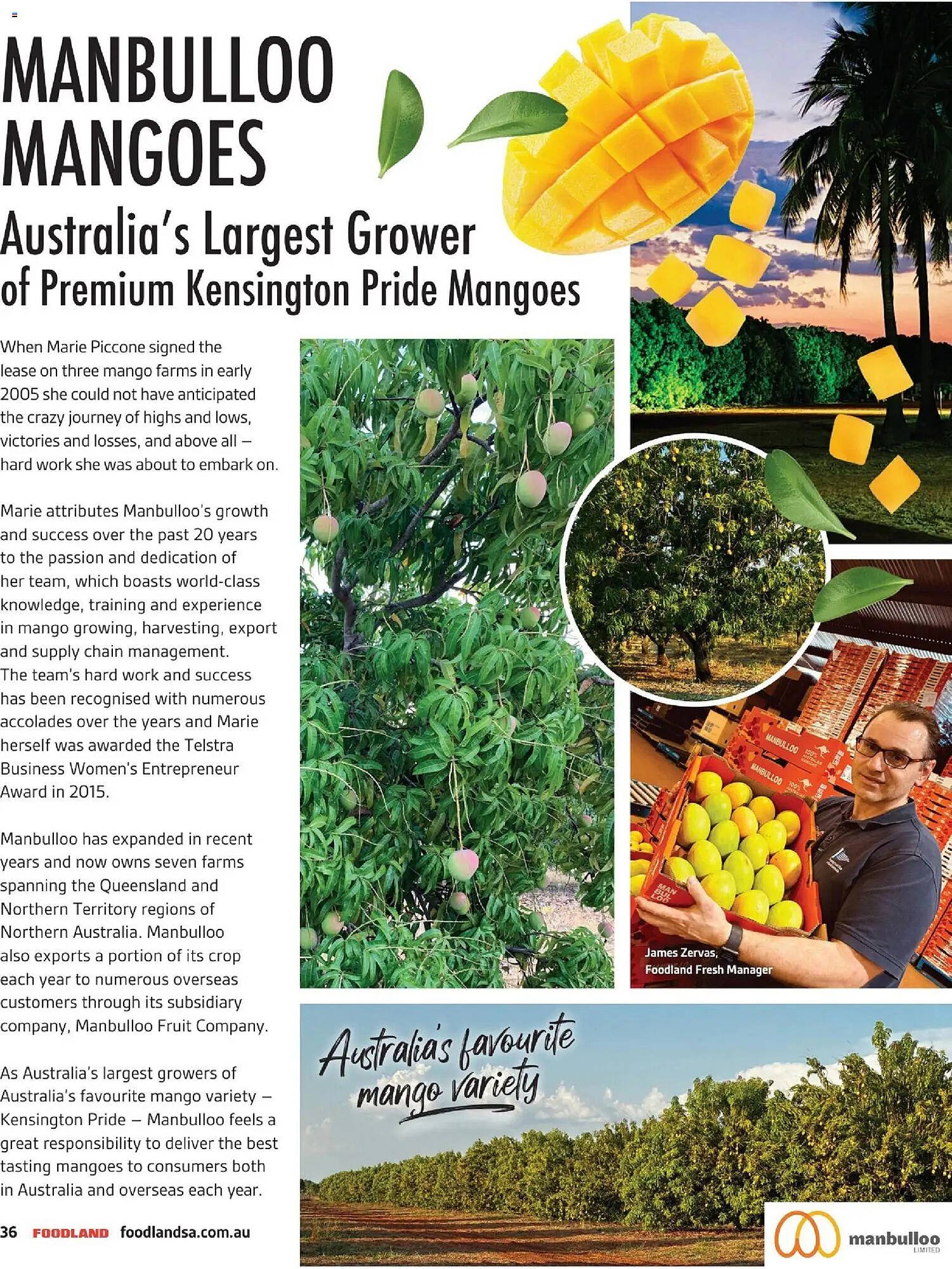 Foodland catalogue (2025-11-30 - 2026-02-28) | 36