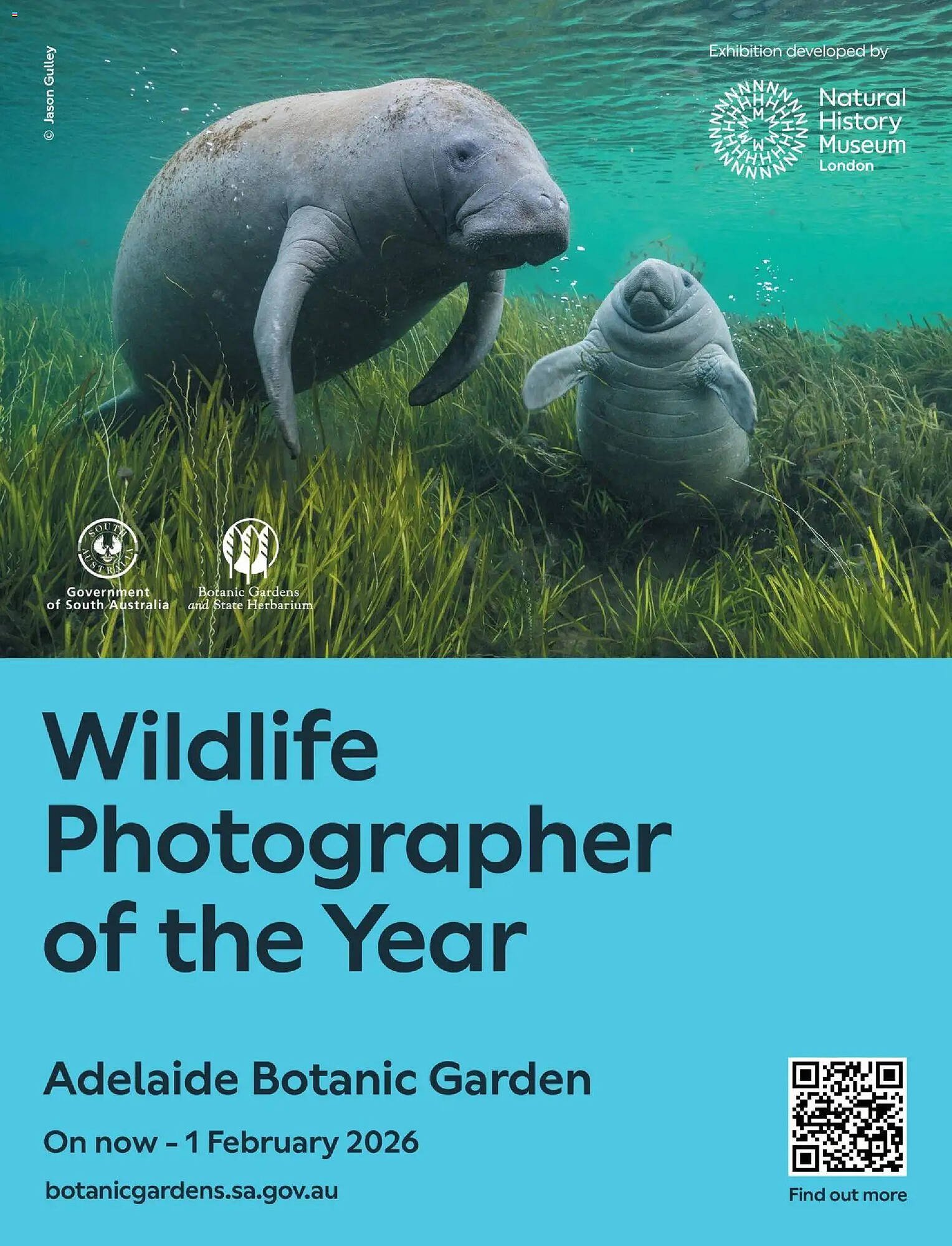 Foodland catalogue (2025-11-30 - 2026-02-28) | 64