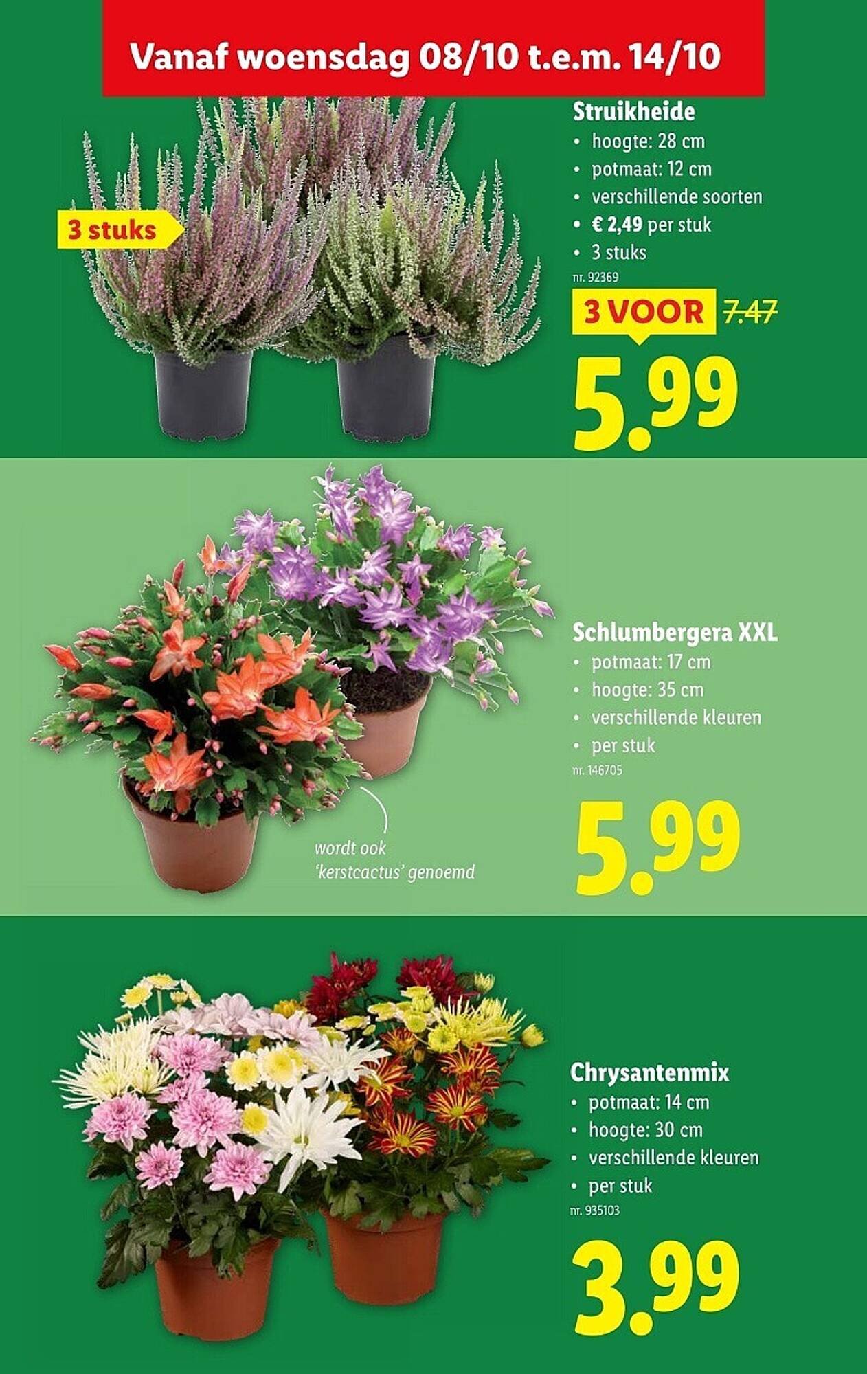 Lidl folder (2025-10-08 - 2025-10-14)