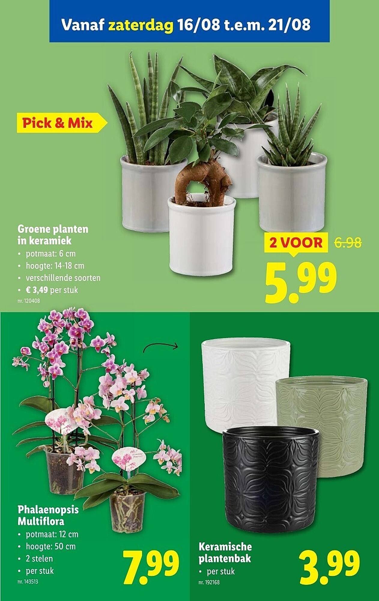 Lidl folder (2025-08-13 - 2025-08-19)