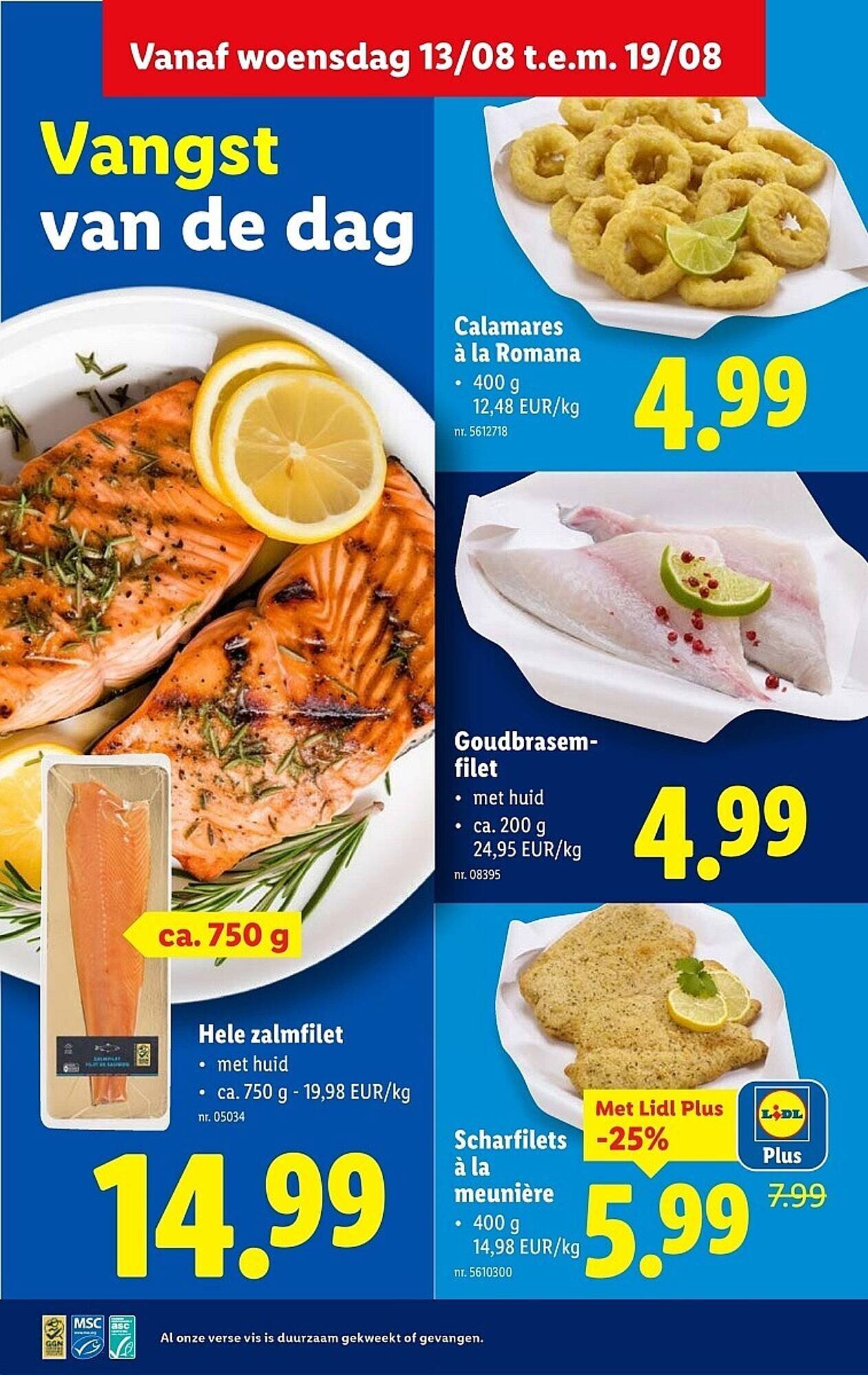 Lidl folder (2025-08-13 - 2025-08-19)