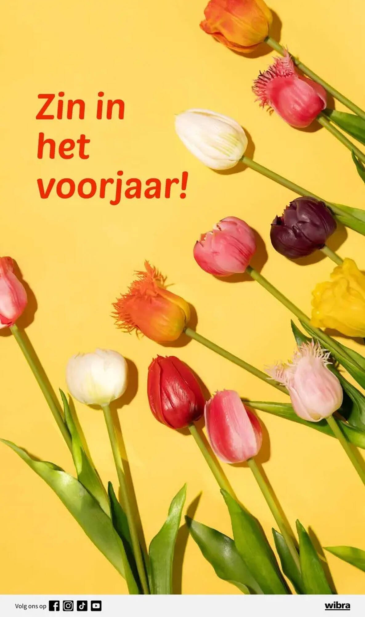 Wibra folder (2026-01-19 - 2026-02-01)