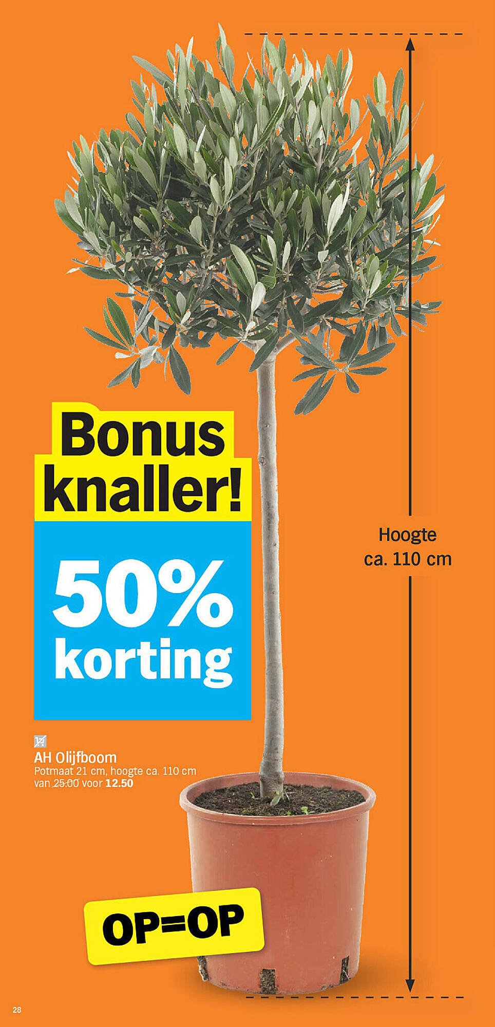 Albert Heijn folder (2026-03-02 - 2026-03-08)