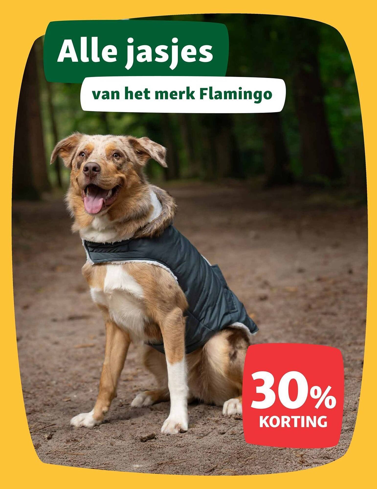 Maxi Zoo folder (2025-09-08 - 2025-09-14)