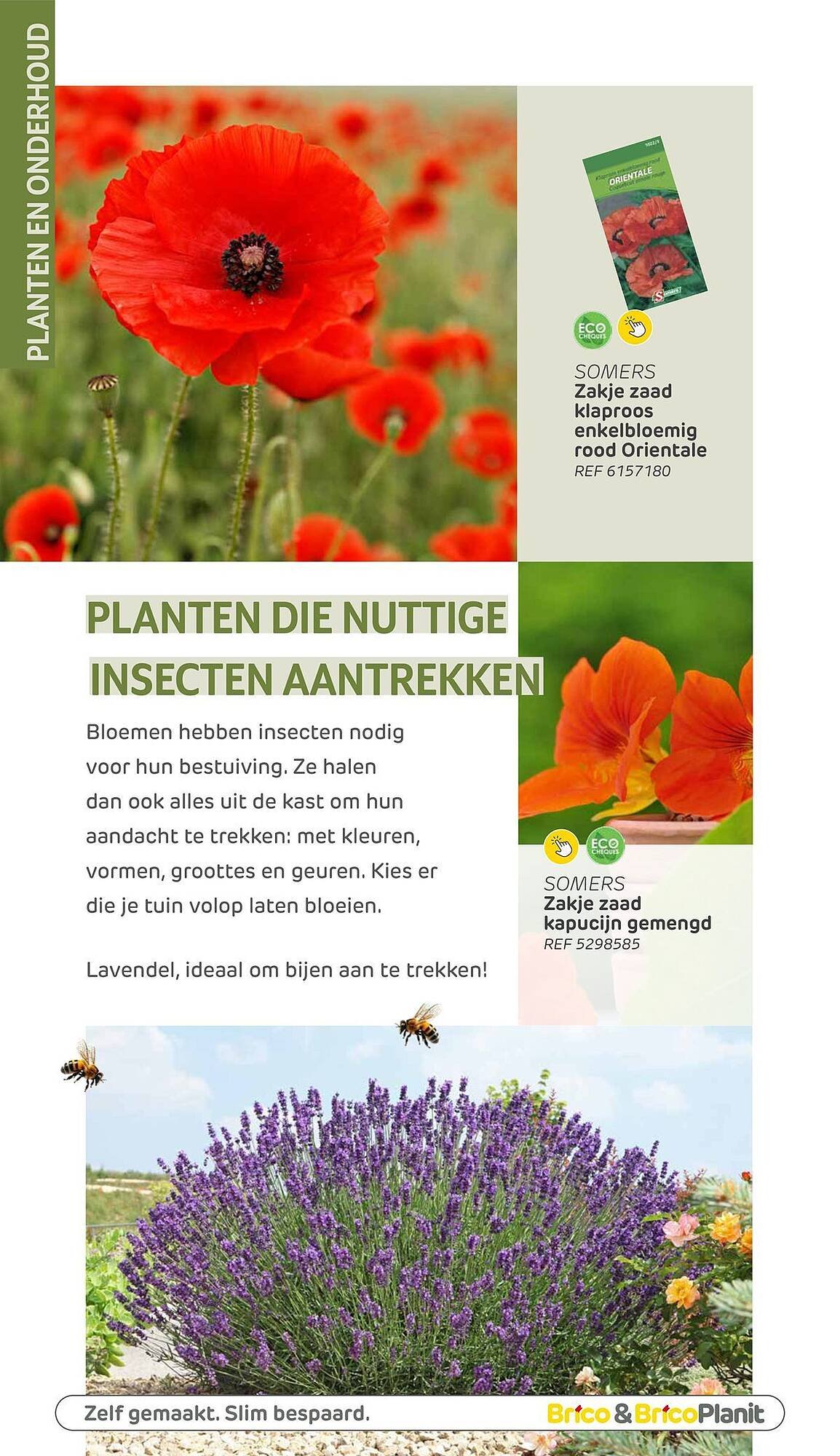 BricoPlanit folder (2026-03-04 - 2026-05-31)