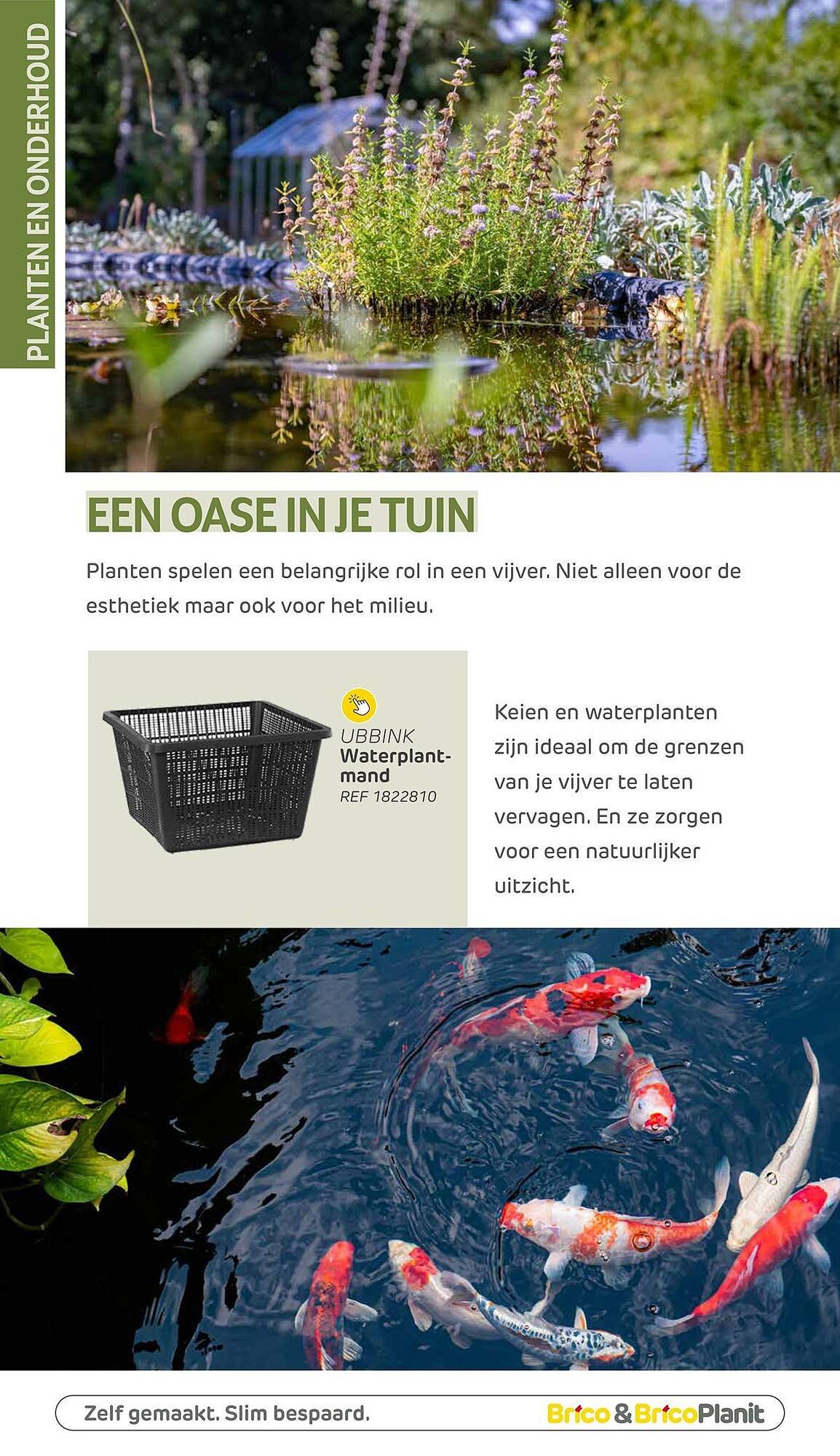 BricoPlanit folder (2026-03-04 - 2026-05-31)