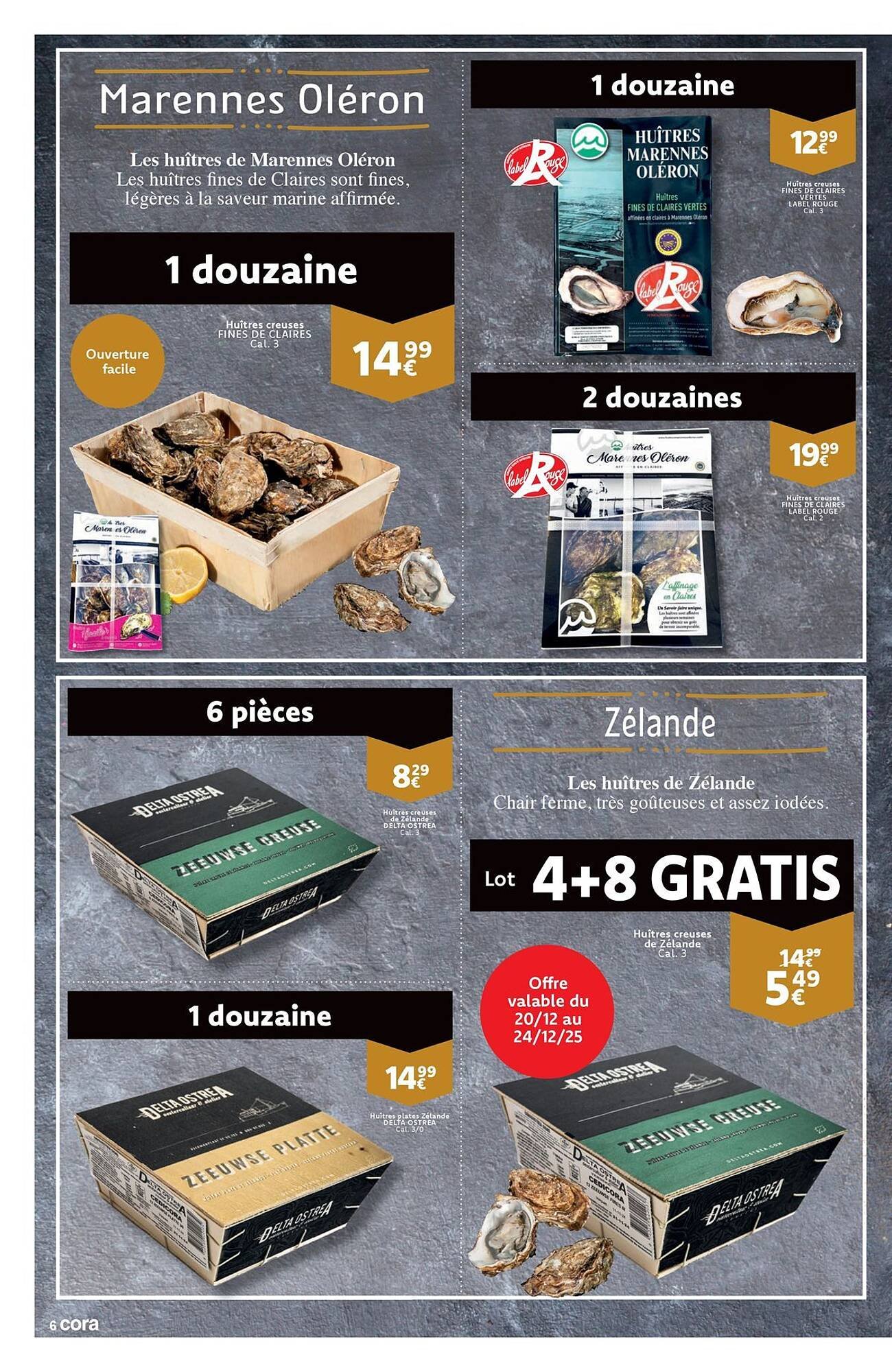 Cora folder (2025-12-16 - 2025-12-31)