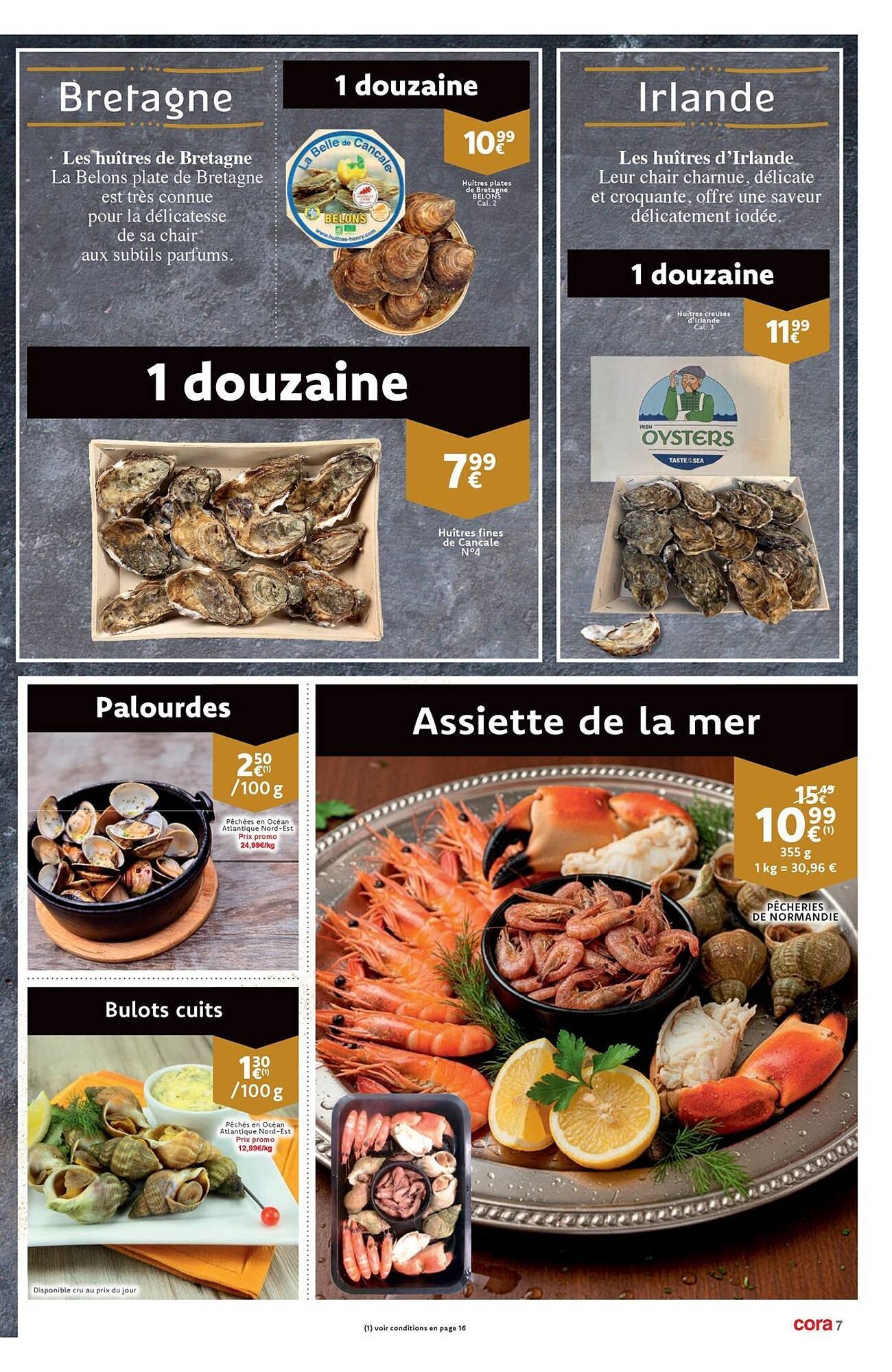 Cora folder (2025-12-16 - 2025-12-31)