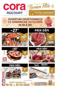 Cora folder (2025-12-16 - 2025-12-31)